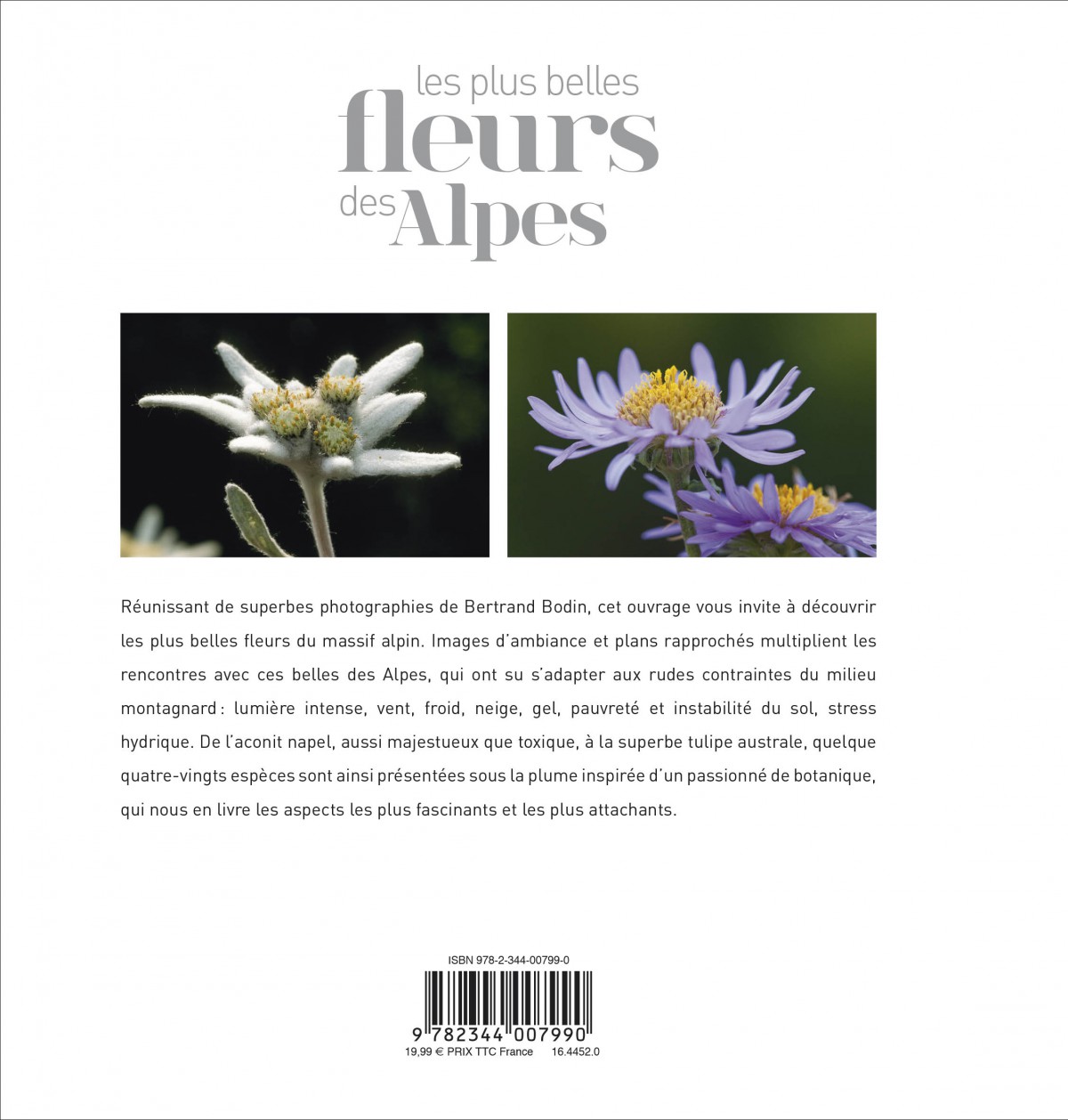 Verso livre Les plus belles fleurs des Alpes
