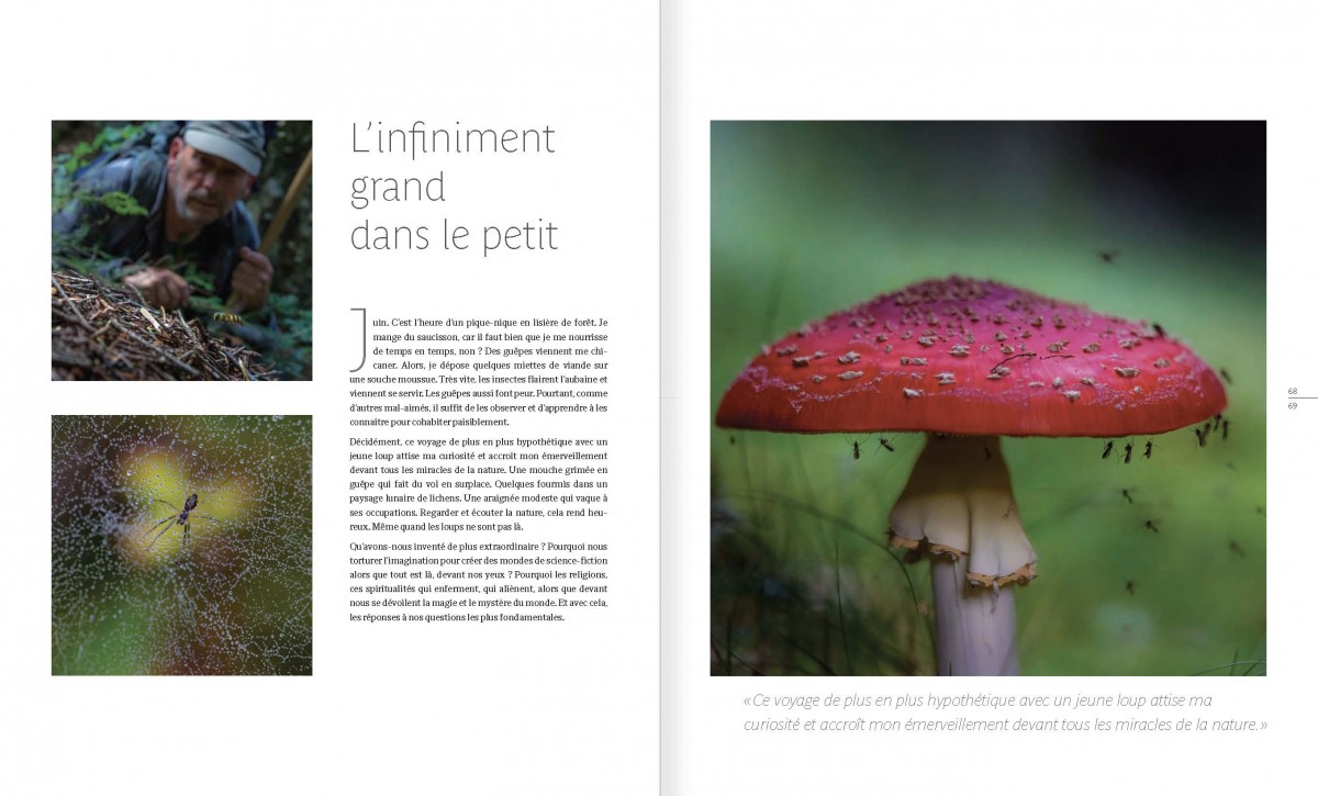 Livre Marche avec les loups pages 68-69