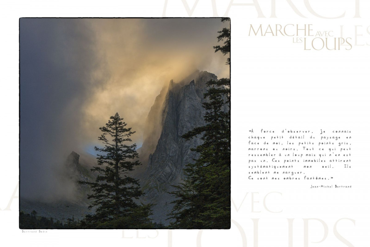 Marche avec les loups, exposition photographique de Bertrand Bodin, Aiguilles