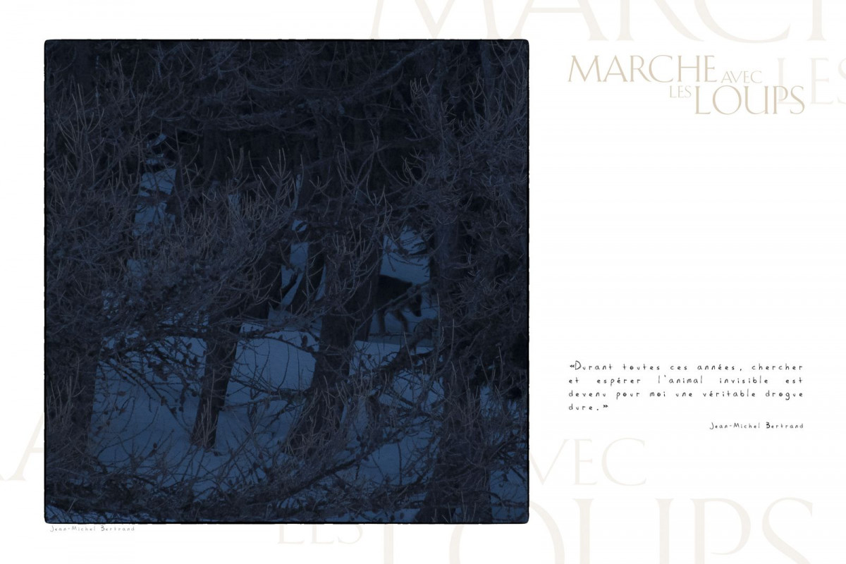 Marche avec les loups, exposition photographique Jean-Michel Bertrand