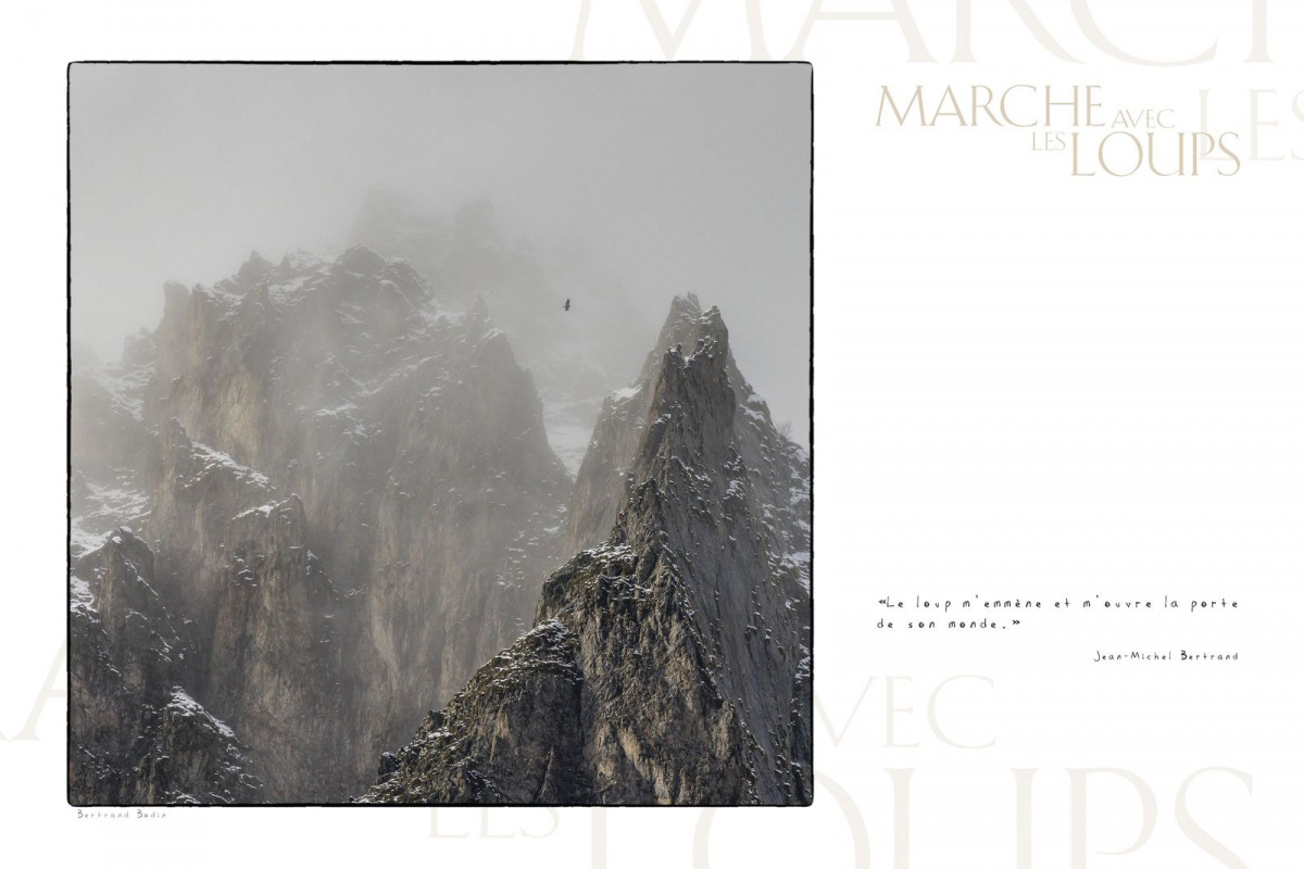 Marche avec les loups, exposition photographique de Bertrand Bodin, aigle royal