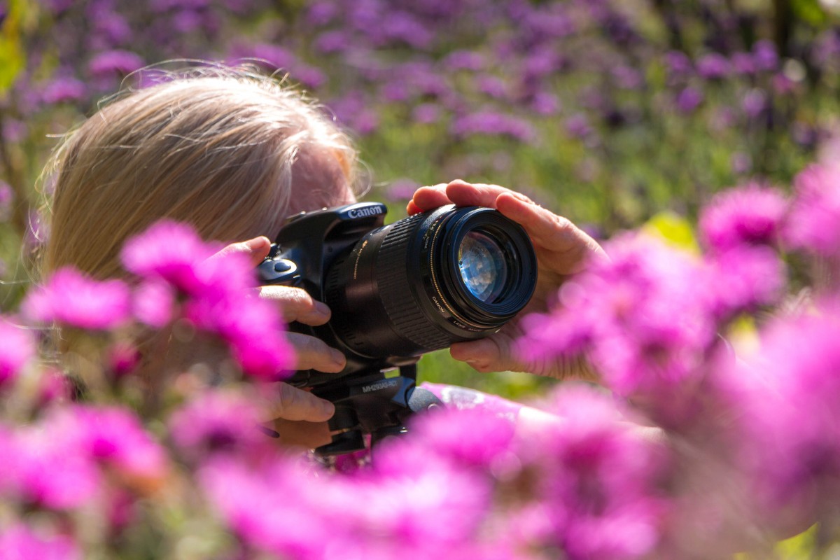 Stage photo macro nature Terre Vivante