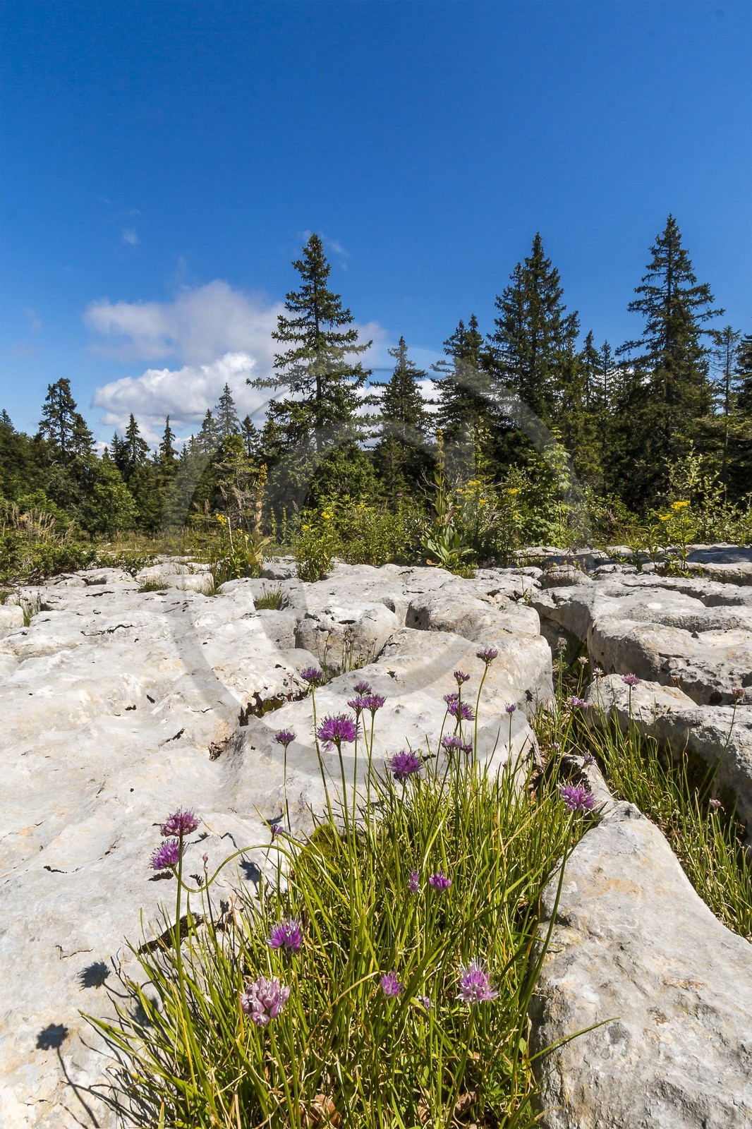 ENS de l'Isère, Plateau de la Molière et du Sornin
