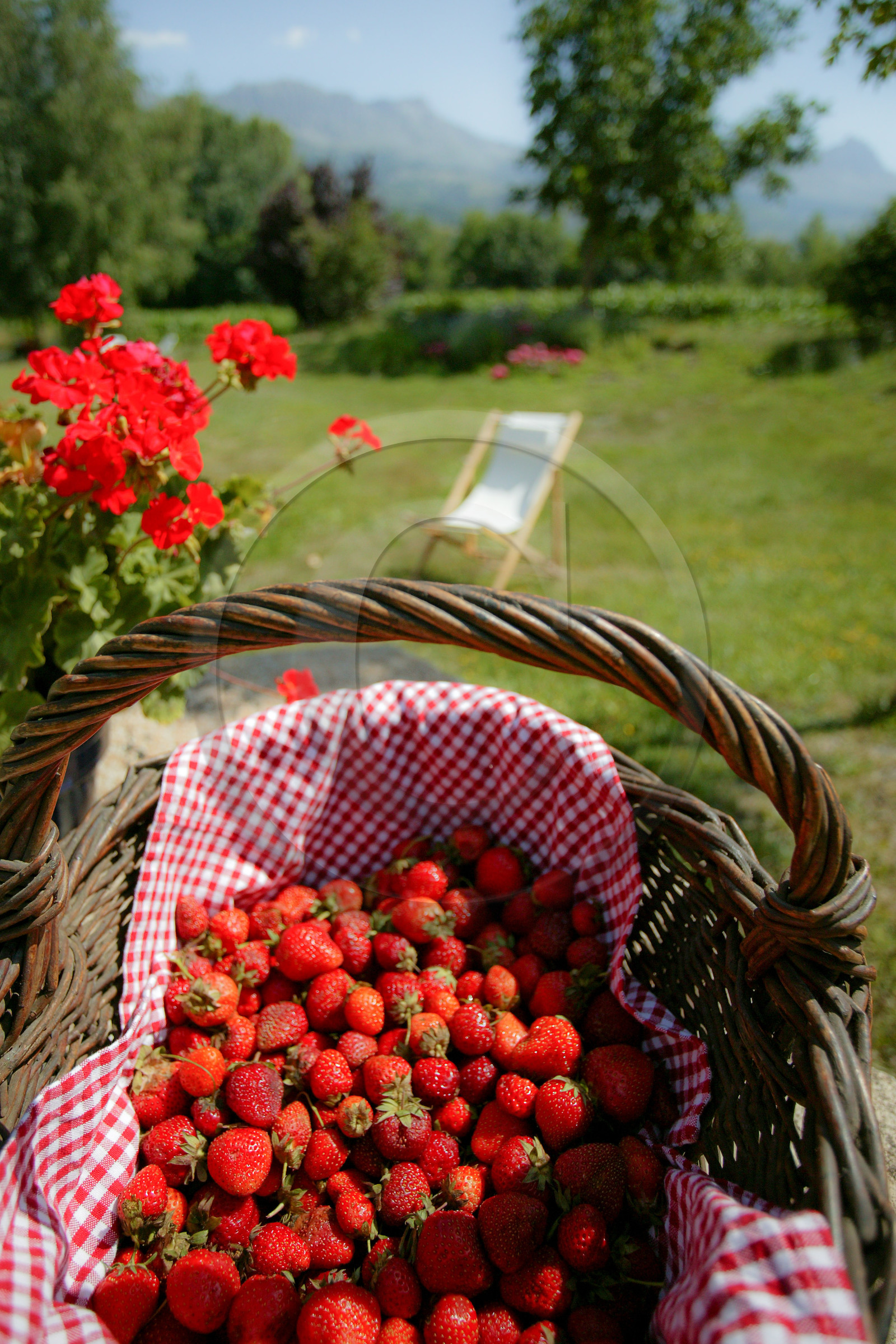 Auberge du Moulin, fraises du jardin