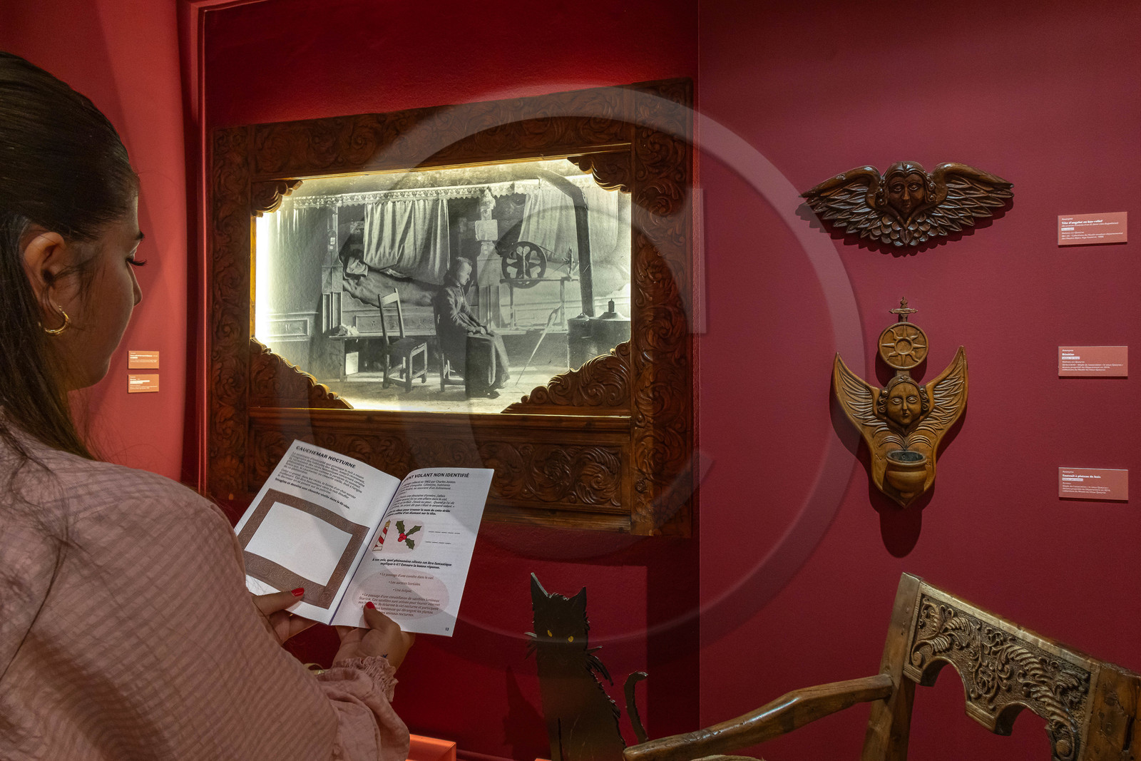 Musée Muséum départemental des Hautes-Alpes, Exposition Nuit