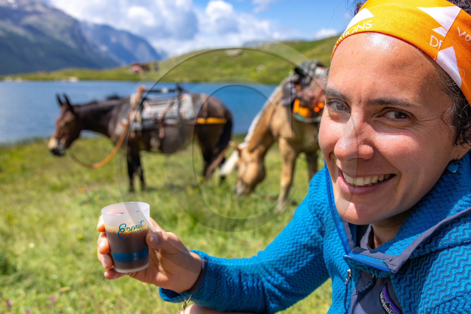 Trek famille avec animaux de bats