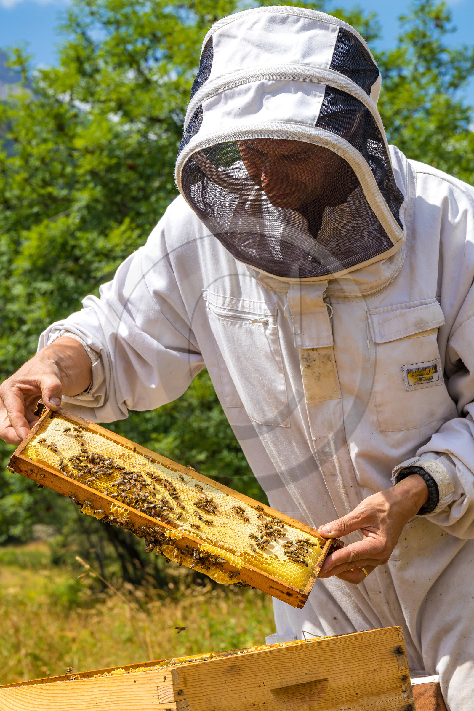 Miellerie de Serre Chevalier