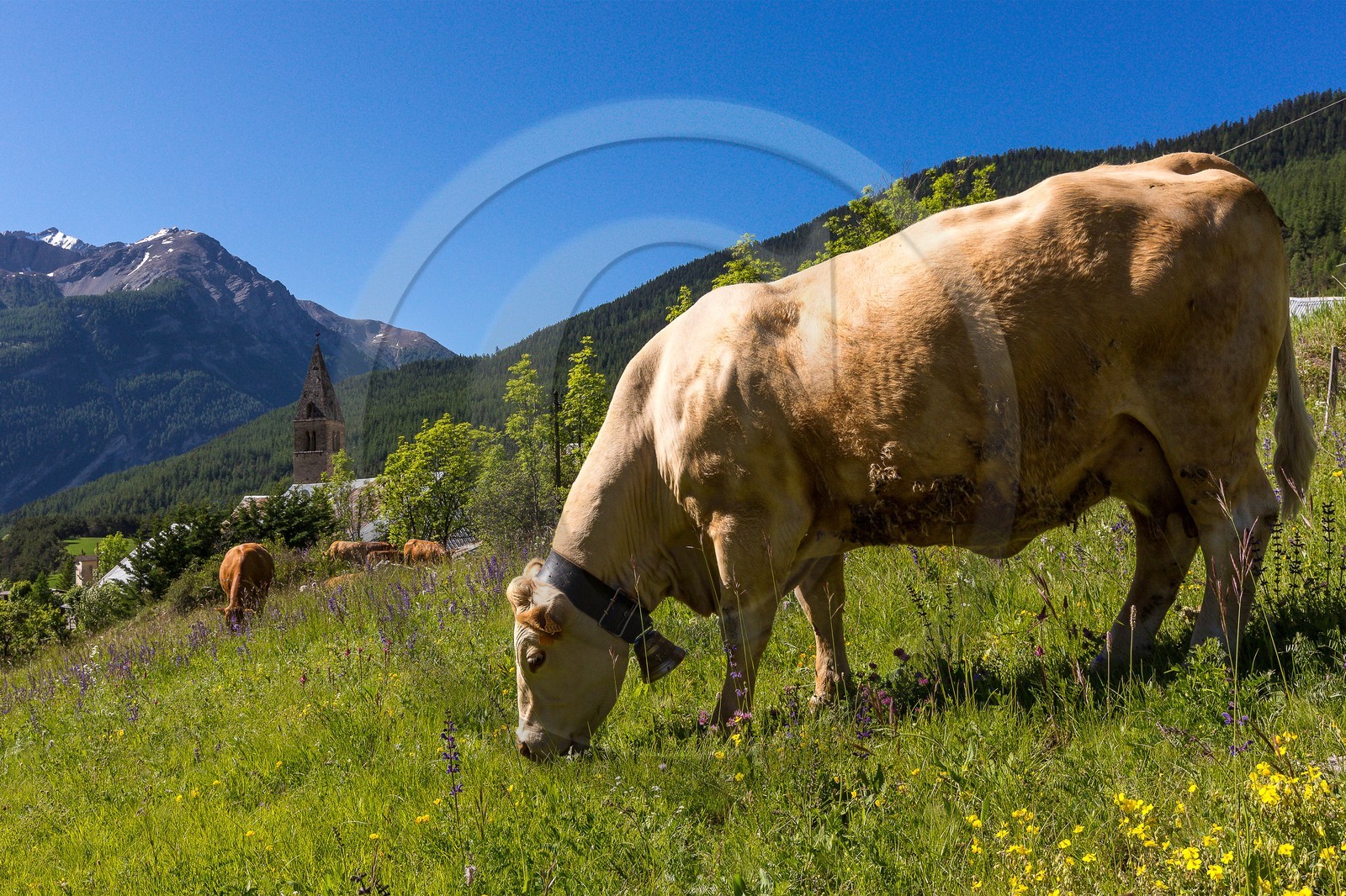 Saint-Paul-sur-Ubaye, hameau de Tournoux