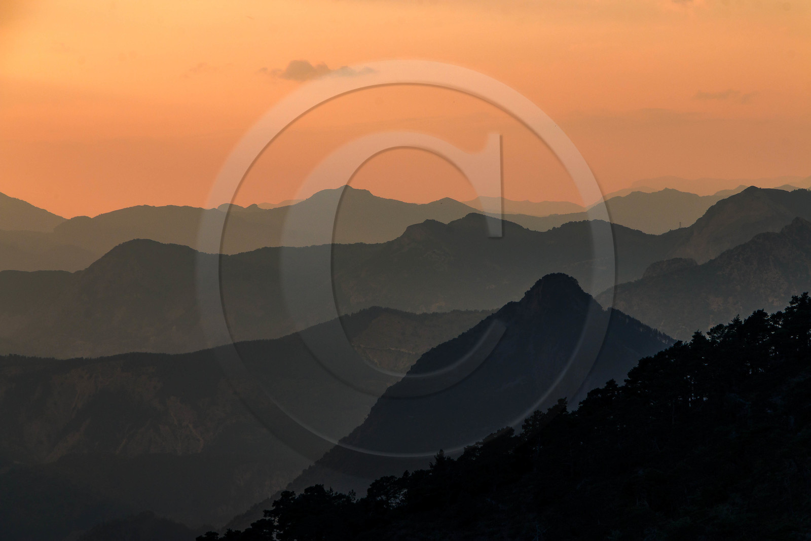 Les Monges, vallon de Reynier