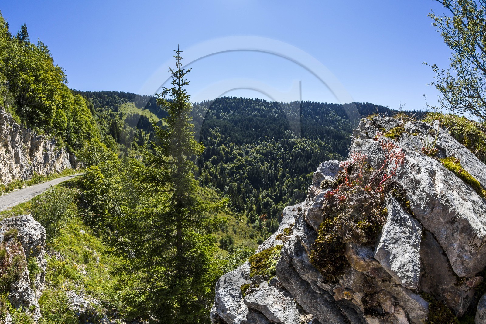ENS de l'Isère, Plateau de la Molière et du Sornin
