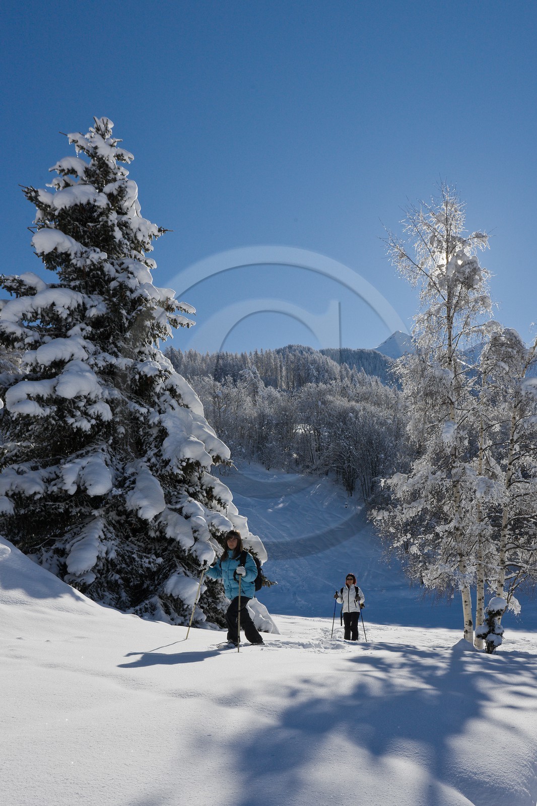 Randonnée raquettes