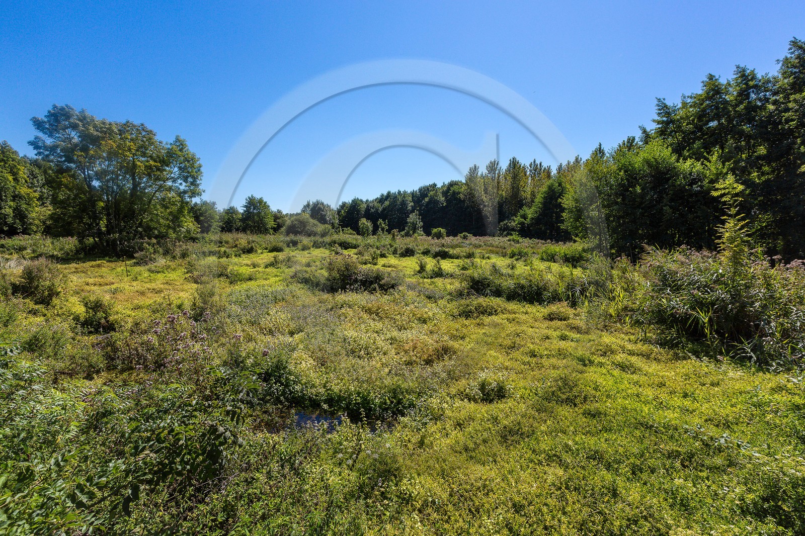 ENS de l'Isère, Les Fontaines de Beaufort