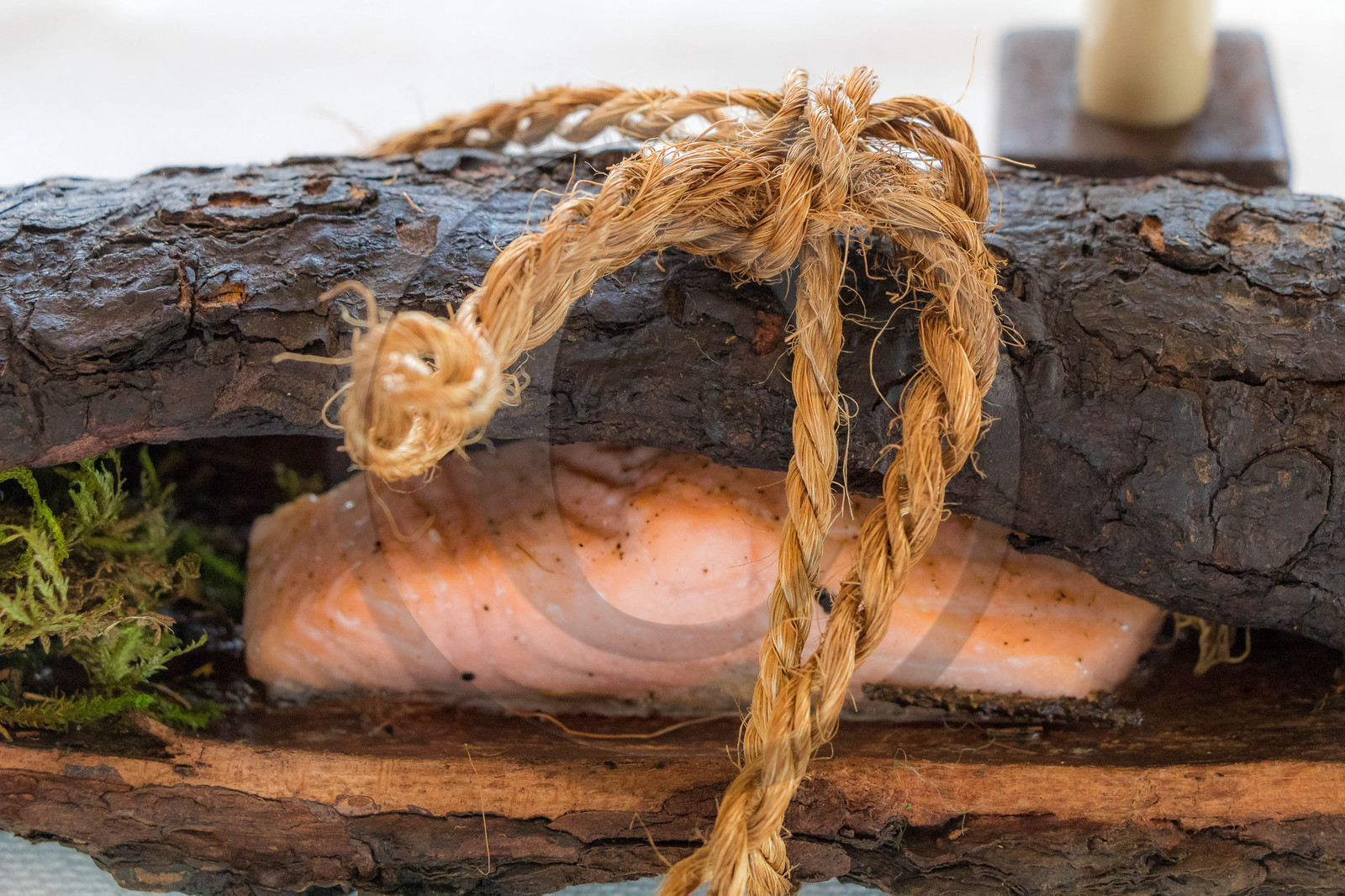 Truite du Léman, mariage lac et forêt, goût d’épicéa