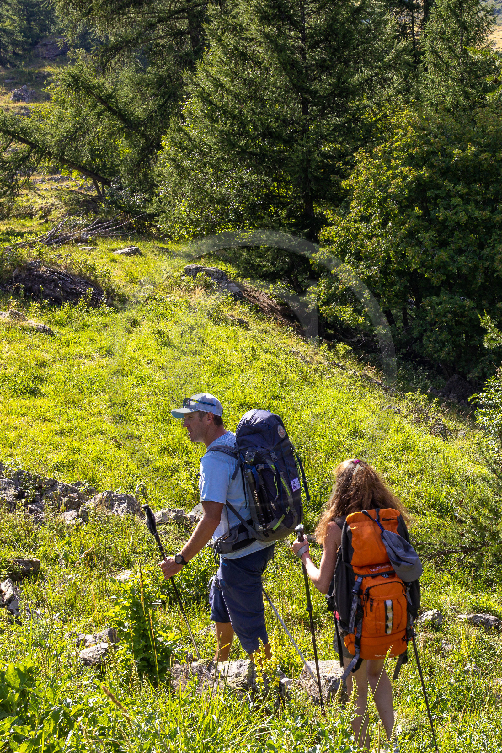 Vallée de Freissinières