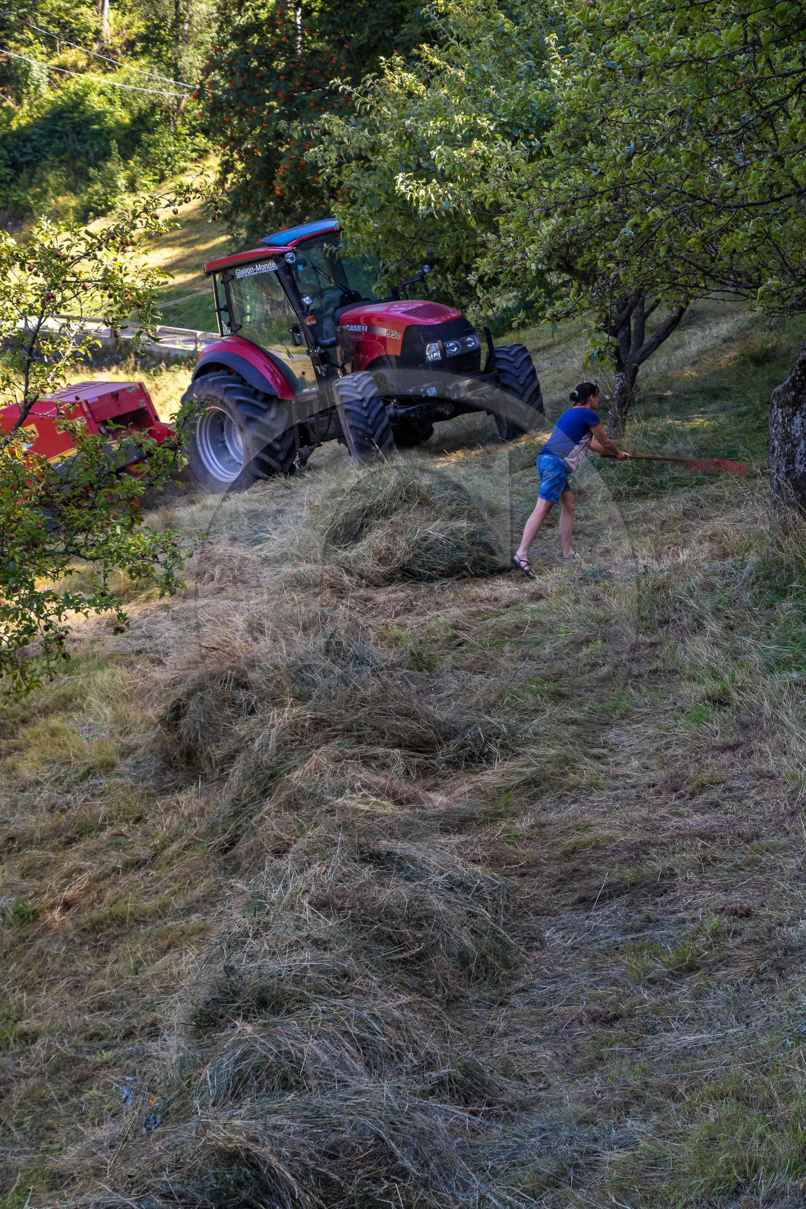 Gaec La chèvrerie des Combettes