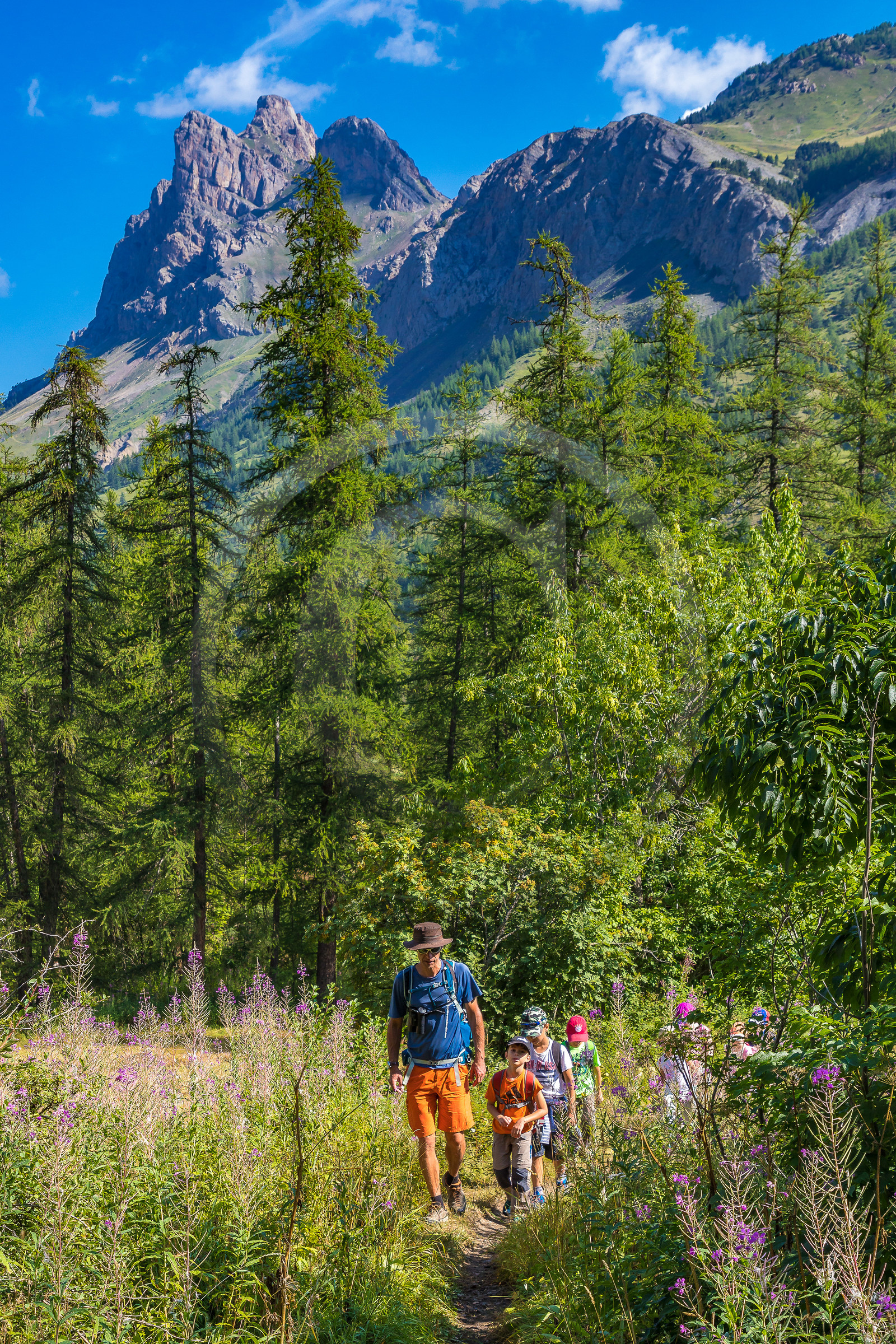 Curieux de nature, sortie découverte avec Cyril Mahout