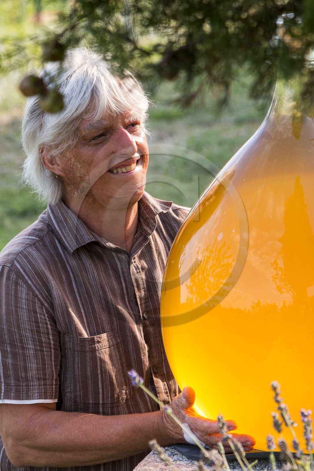 Vignoble de Saint-Jeannet, propriétaire récoltant Denis Rasse