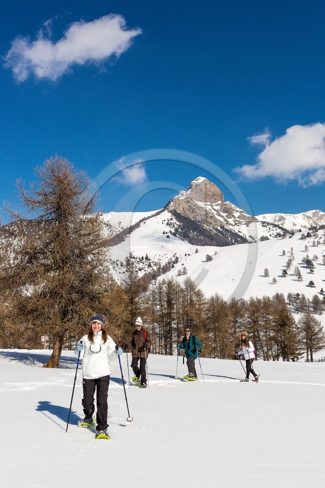 Ancelle, col de Moissière, randonnée à raquettes à neige