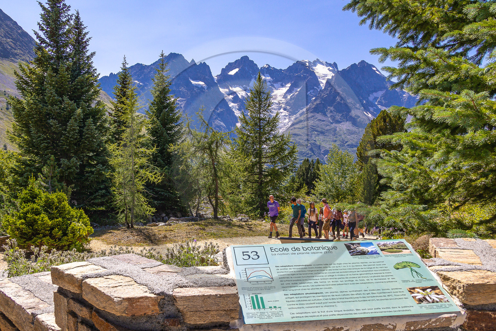 Jardin alpin du Lautaret