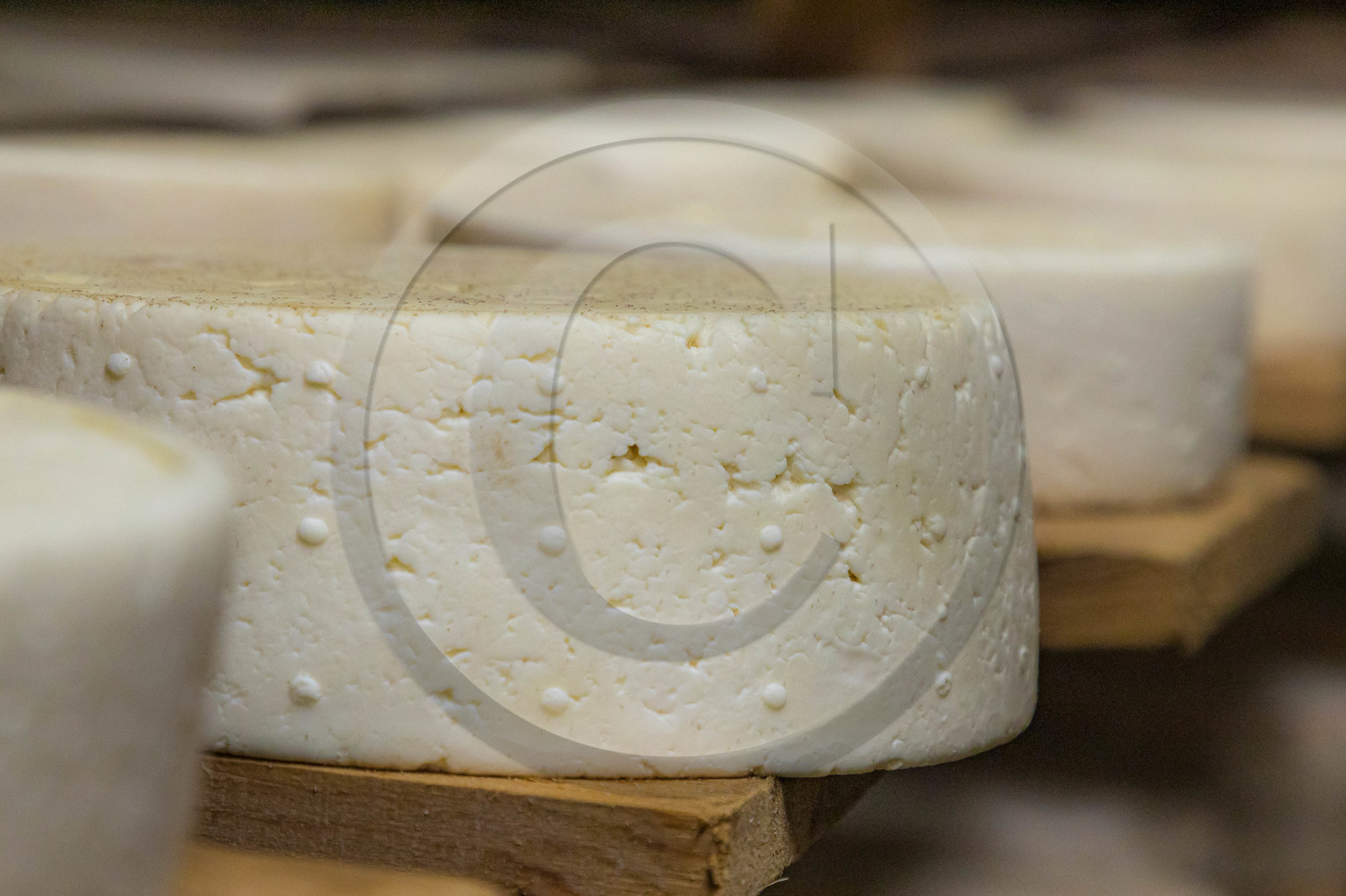 Fromagerie du Plan, Pierrick Rolland, éleveur