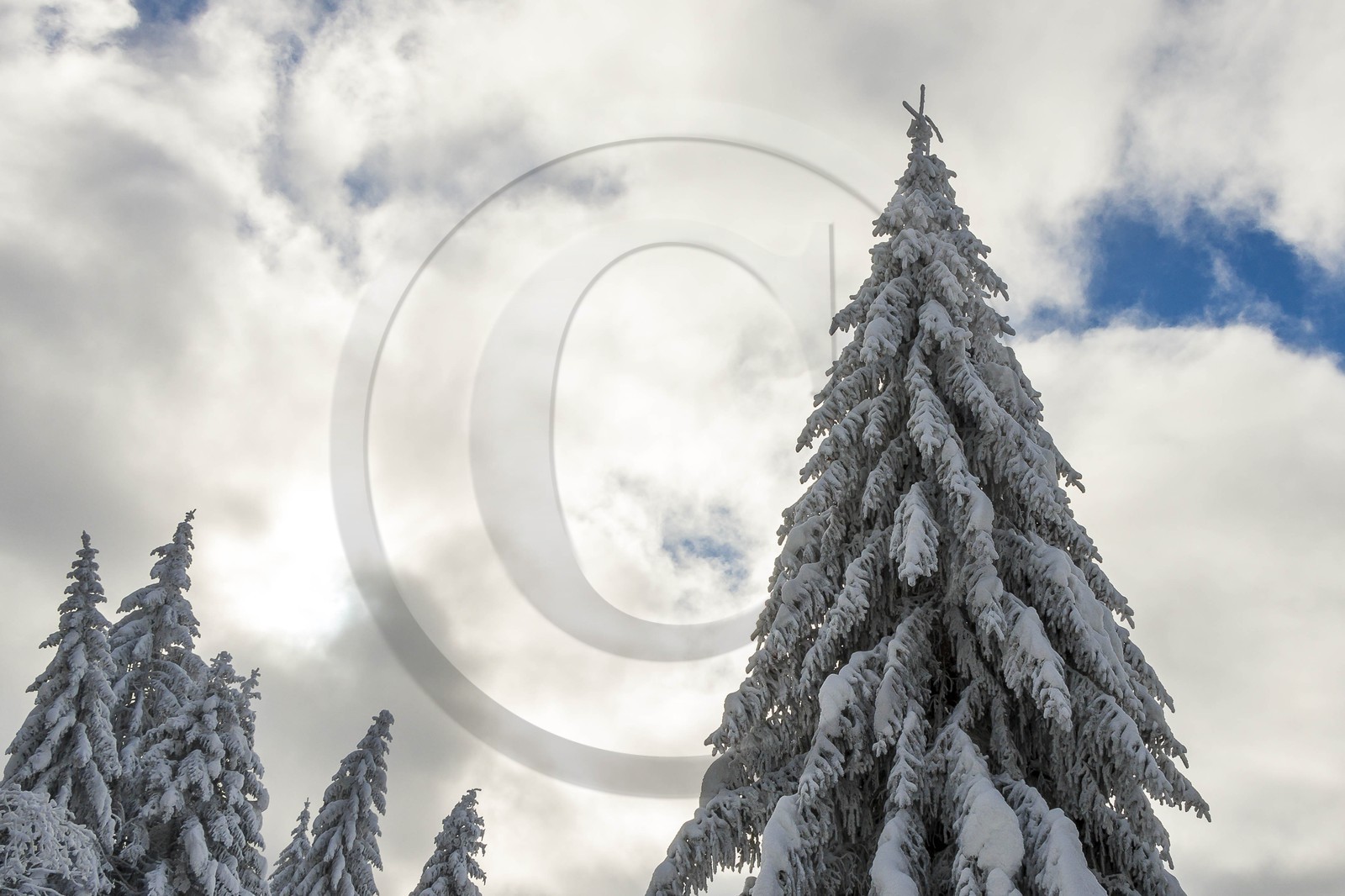 ENS de l'Isère, Les Ecouges