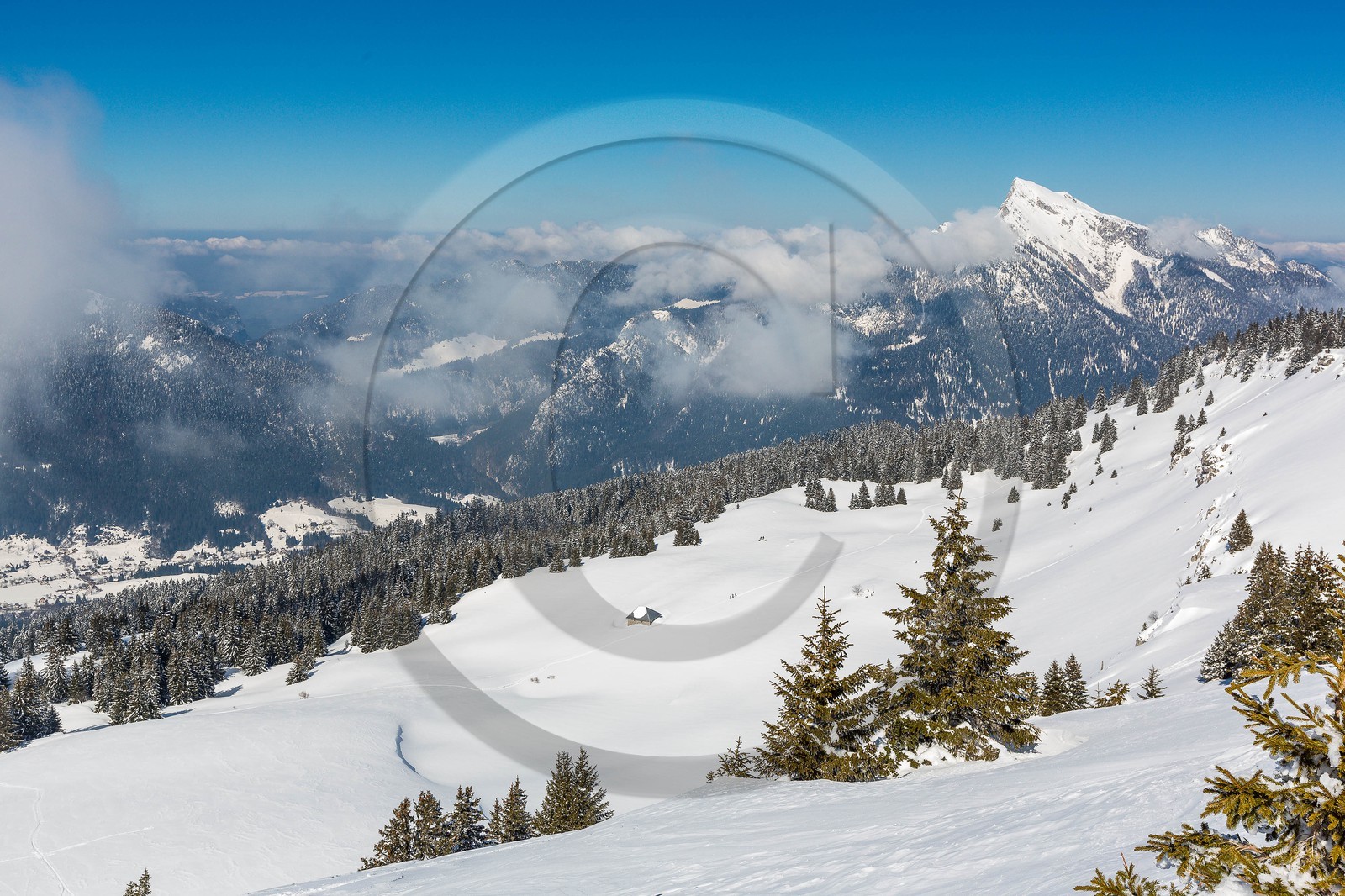 Espace naturel sensible de l'Isère, Col du Coq