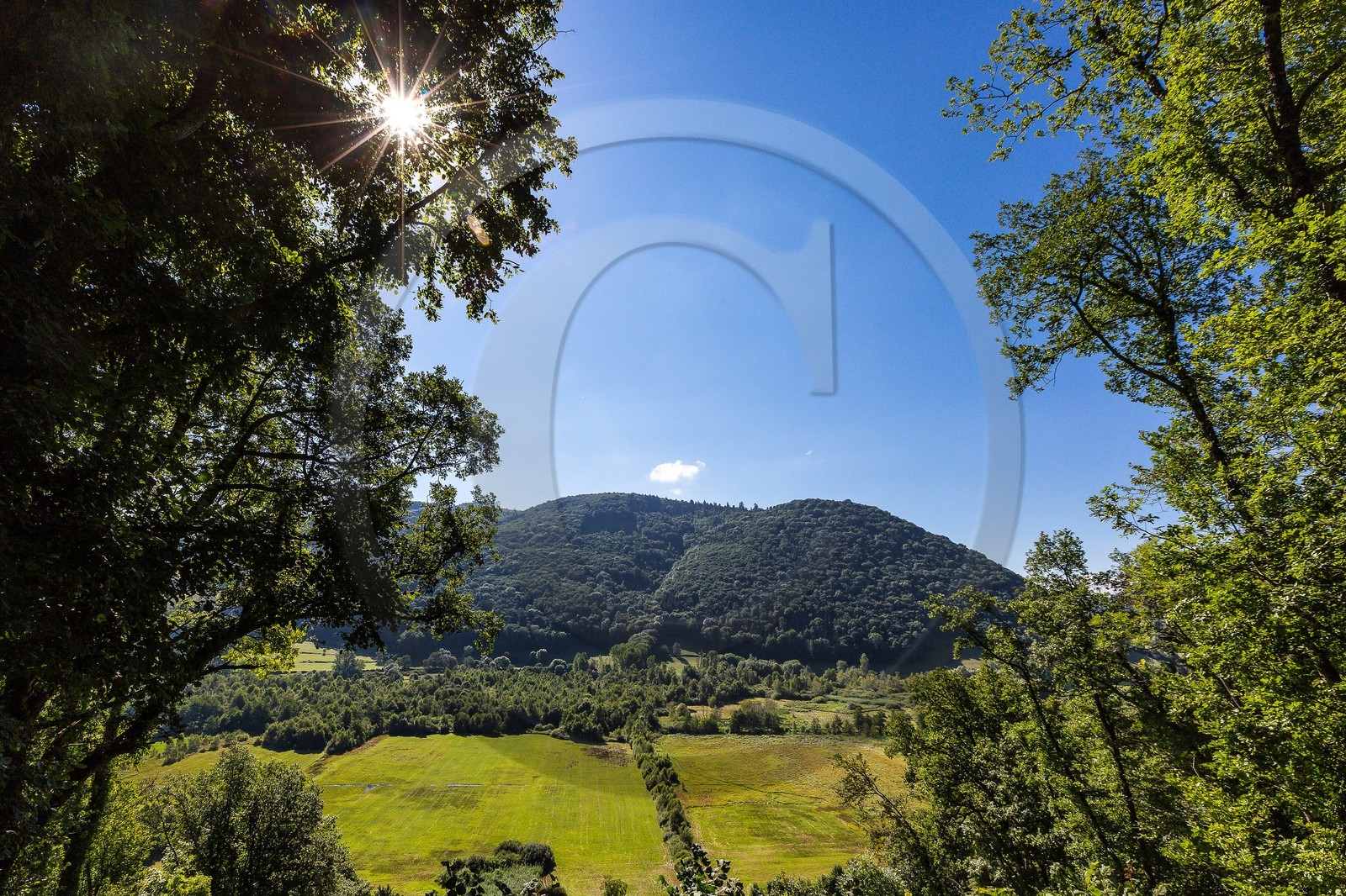 ENS de l'Isère, Marais de Chirens