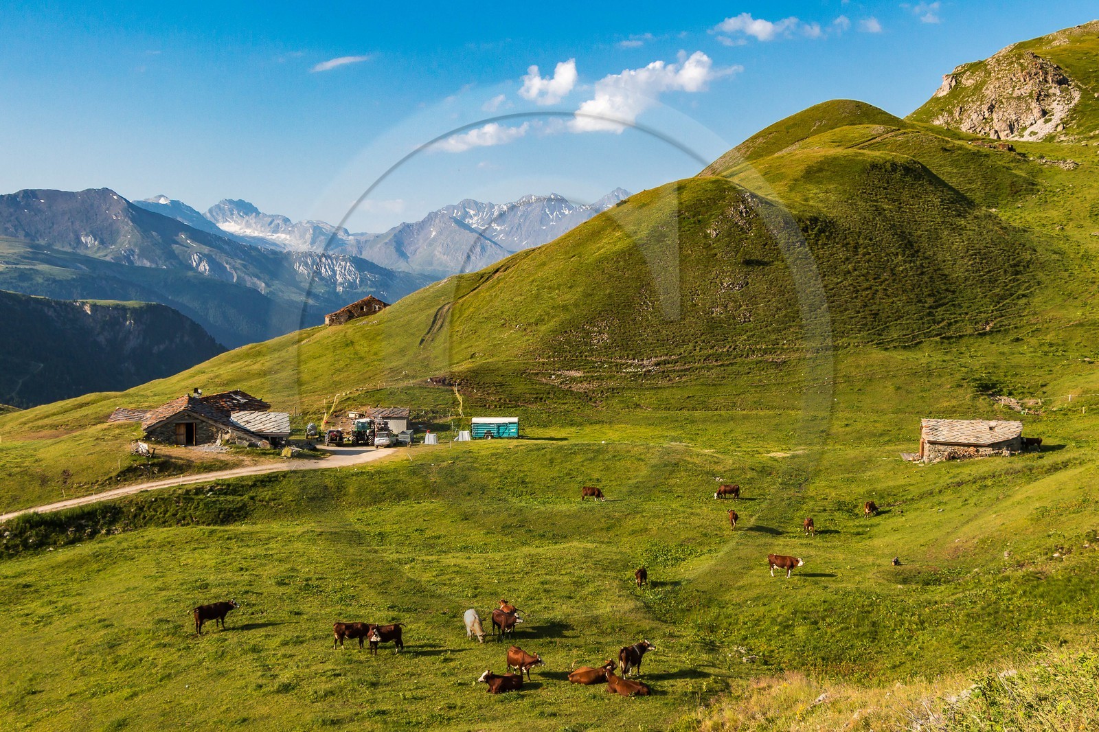 Termignon, alpage de Chavières