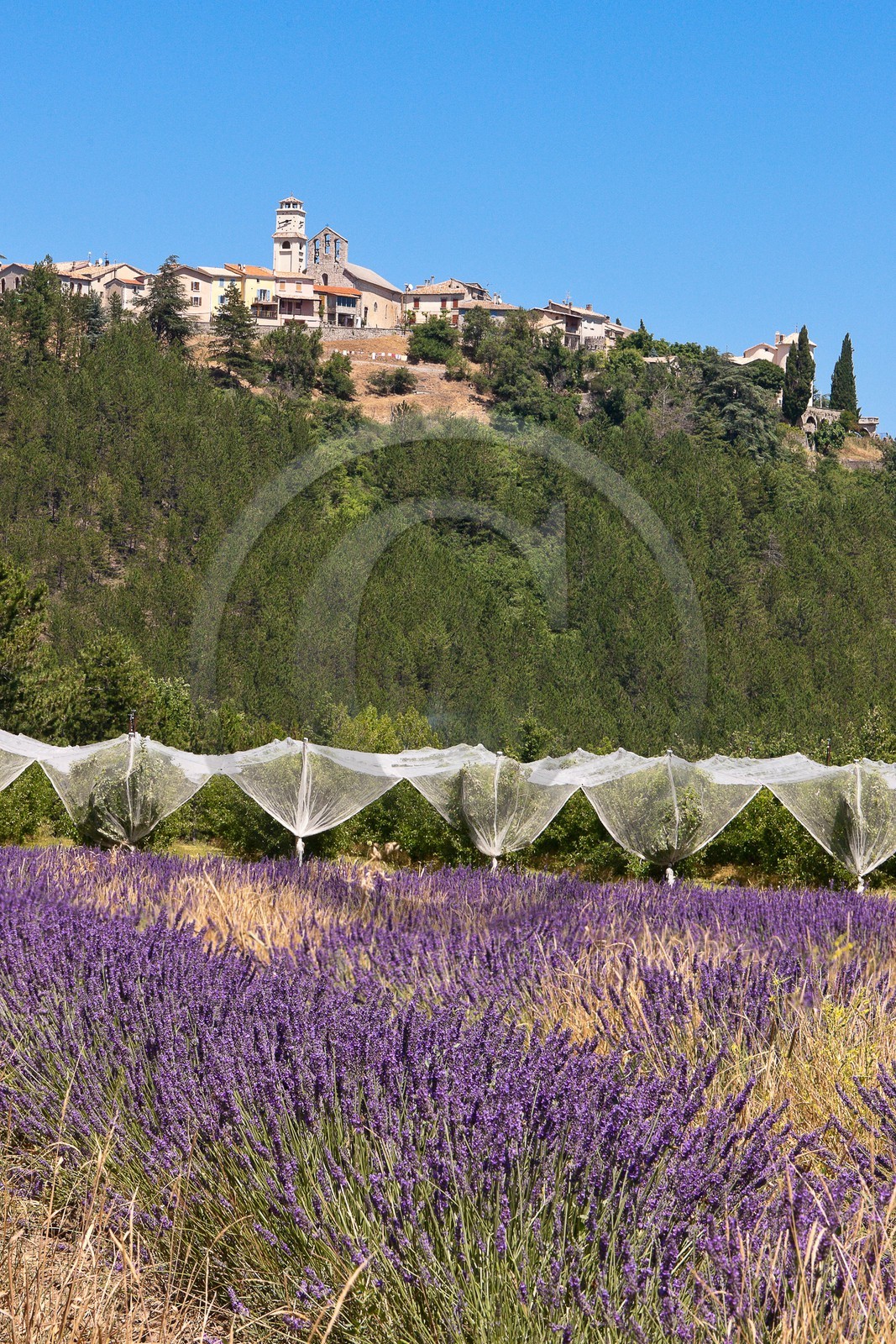 Village perché de Ventavon