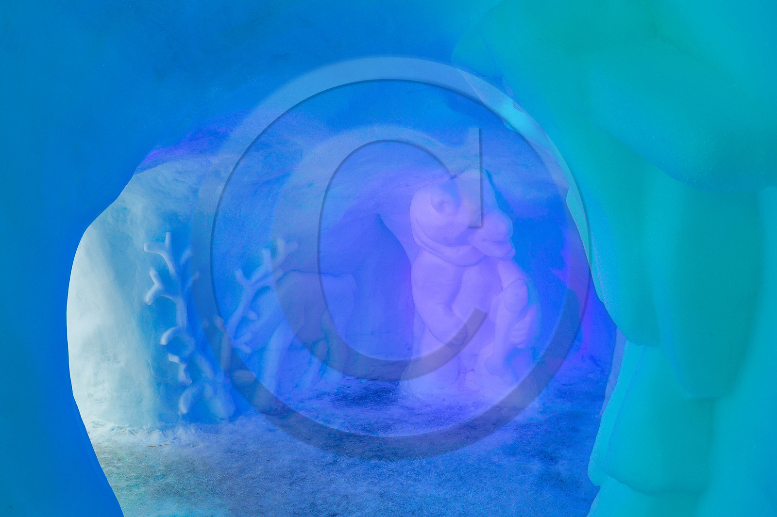 Igloo Pelvoux 2015