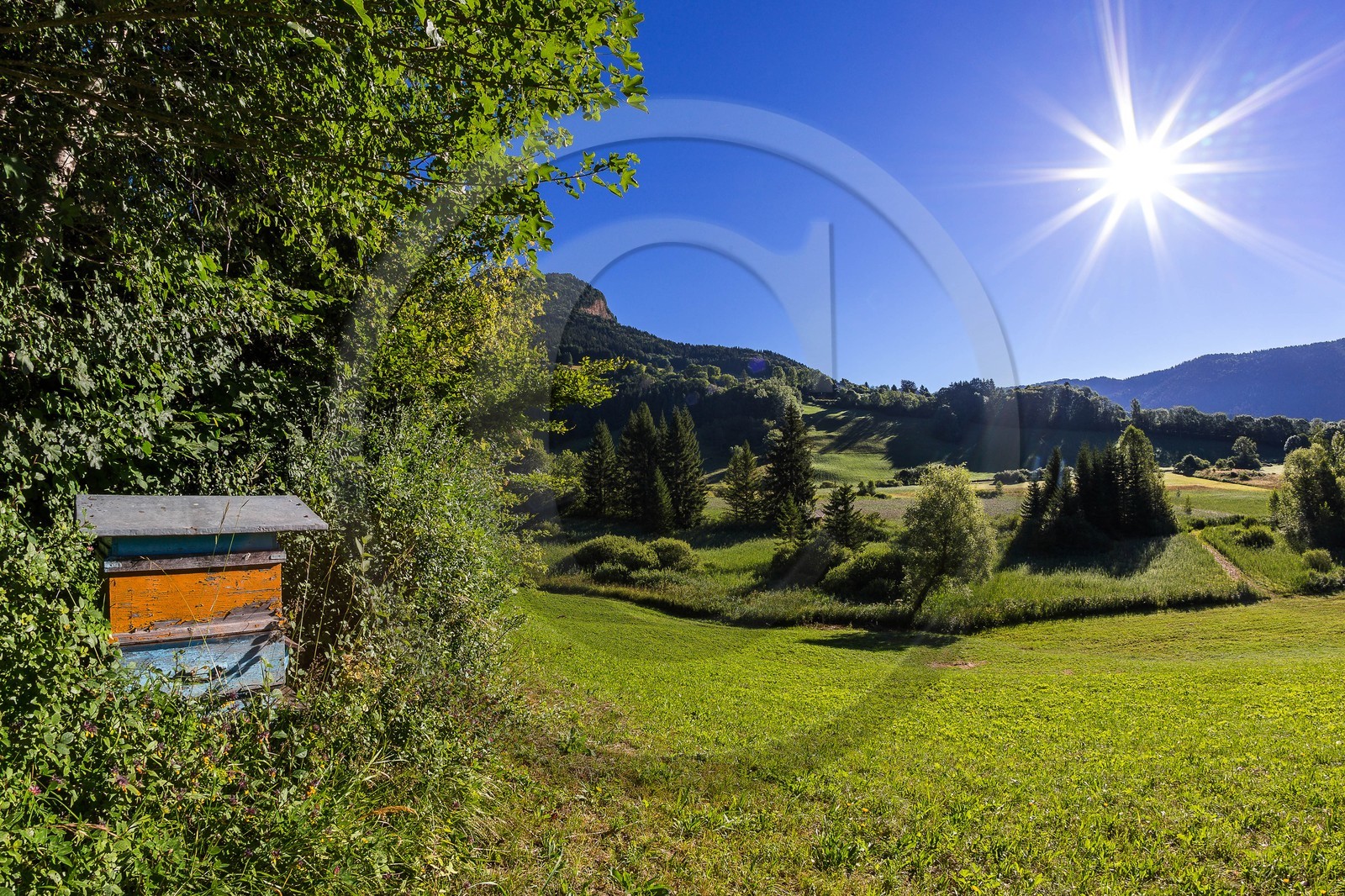 ENS de l'Isère, Marais des Sagnes