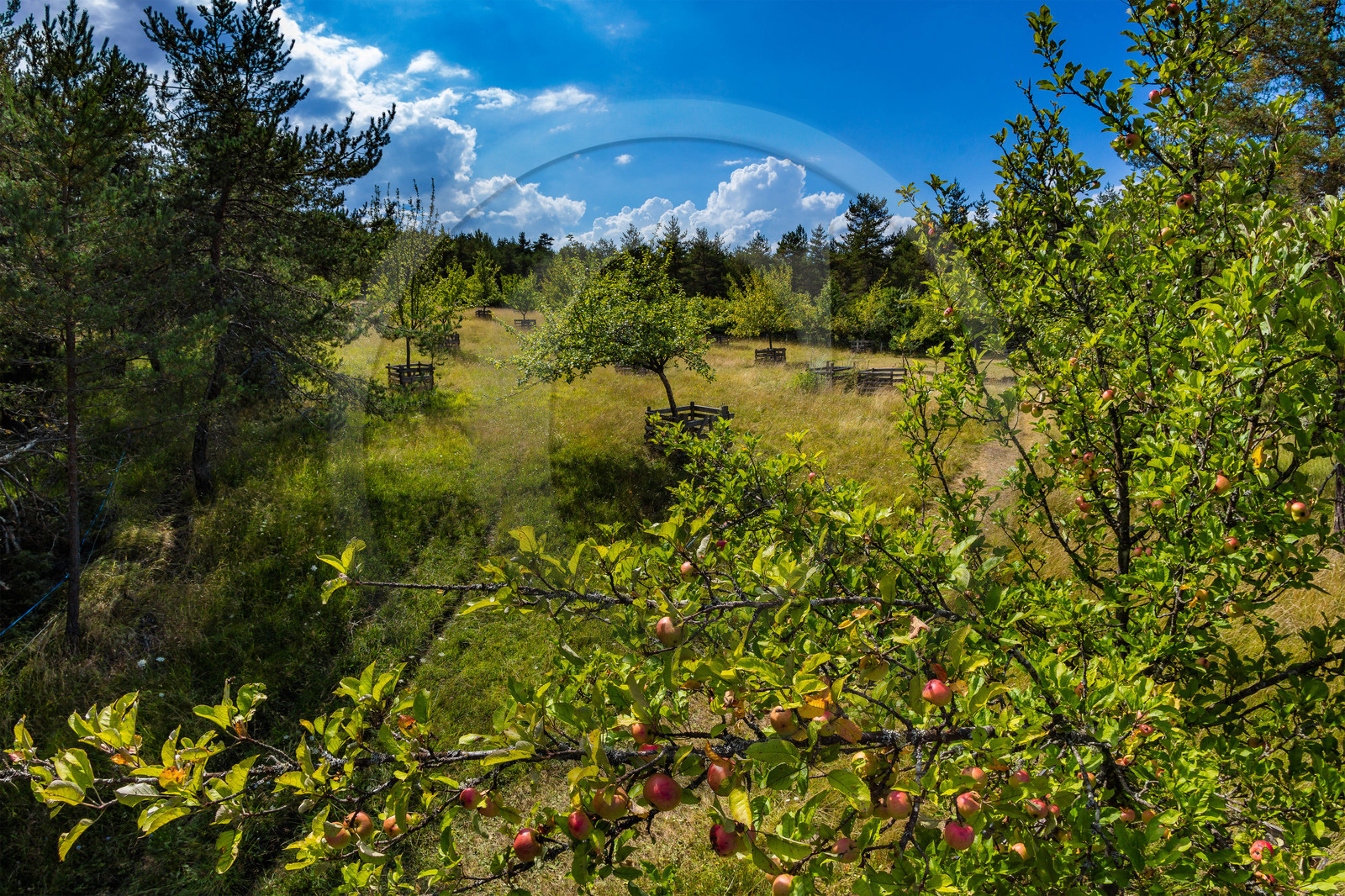 Parc écologique Terre Vivante