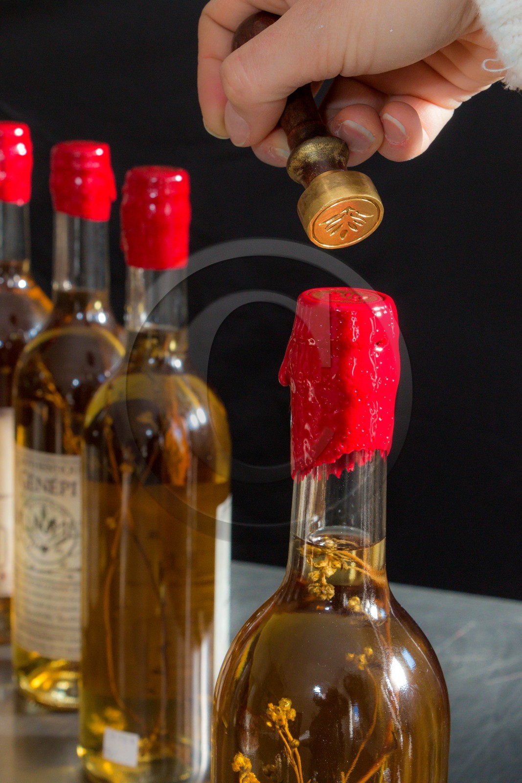 Orcières 1850, Génépi Guillaumette