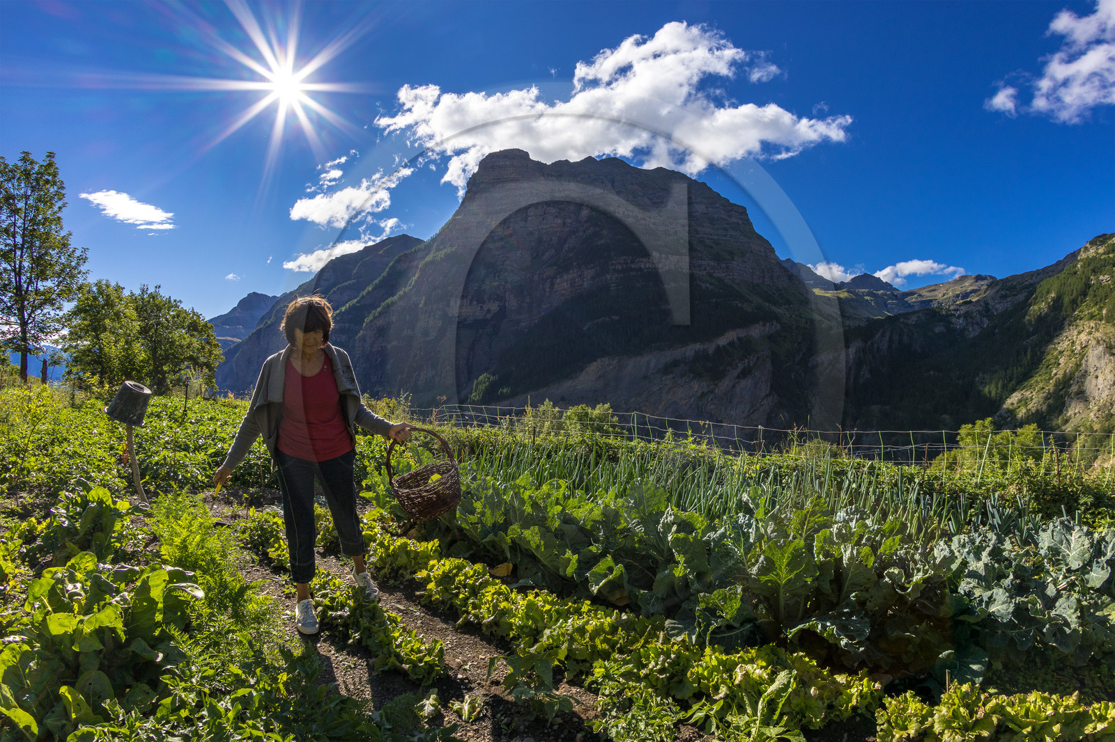 L'Ecrin de Violette, Chambres et table d'hôtes