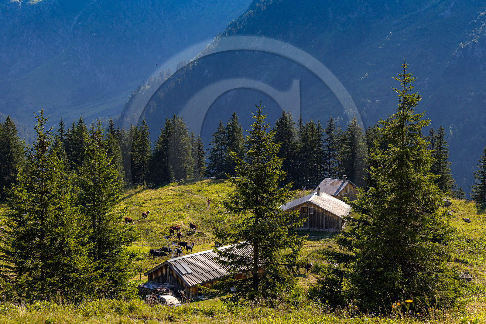 Réserve Naturelle des Contamines-Montjoie