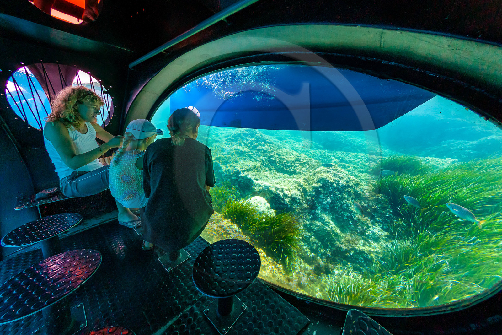 Parc national de Port-Cros, Bateau Aquascope : grâce à la coque transparentedu bateau, visite des fonds sous marins