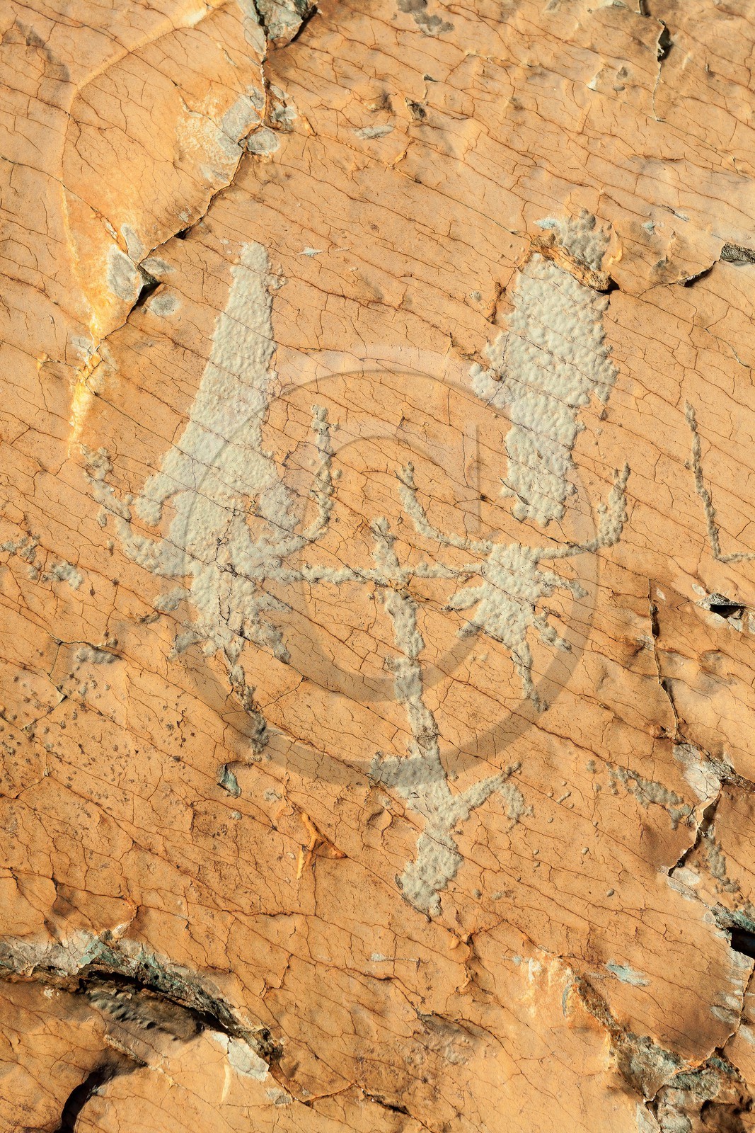 Vallée des Merveilles, gravures rupestres