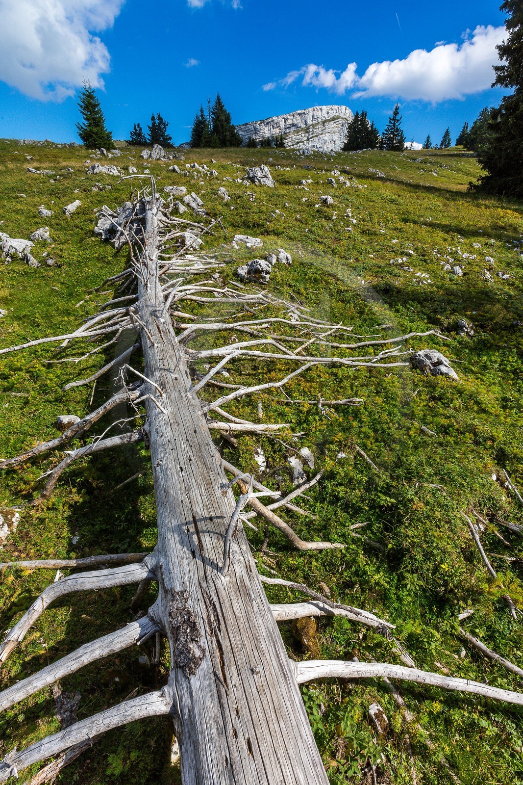 Espace naturel sensible de l'Isère, Col du Coq