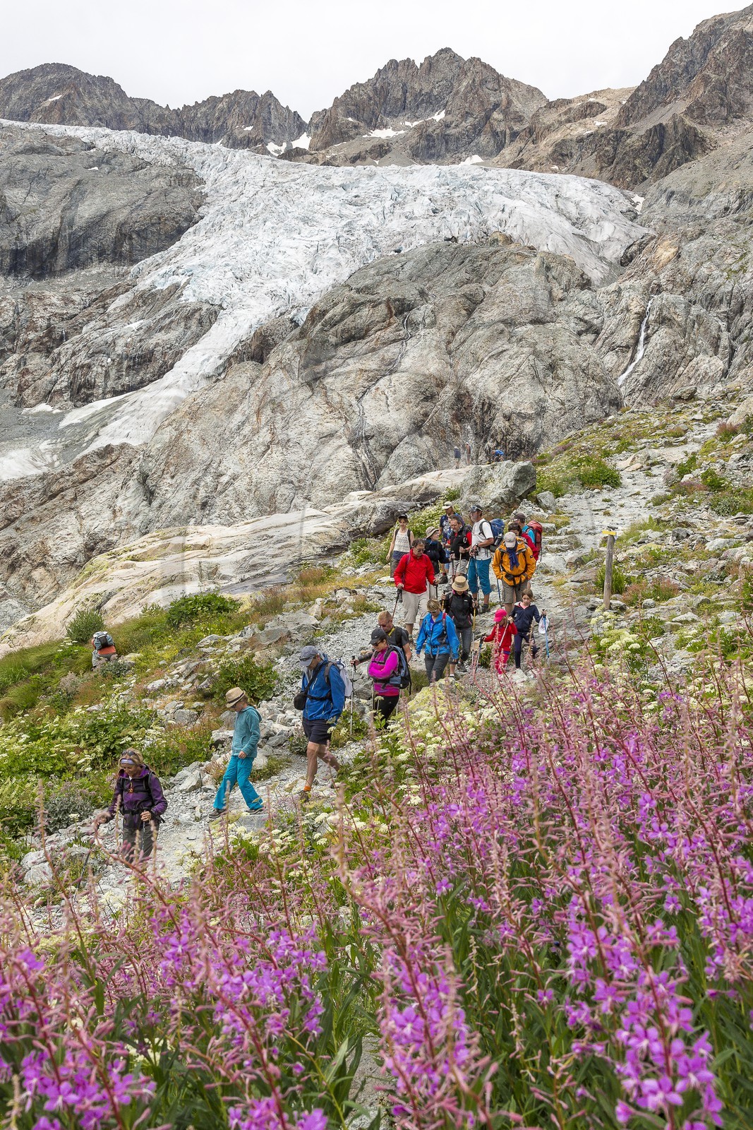 Alexandre Puech, accompagnateur en moyenne montagne