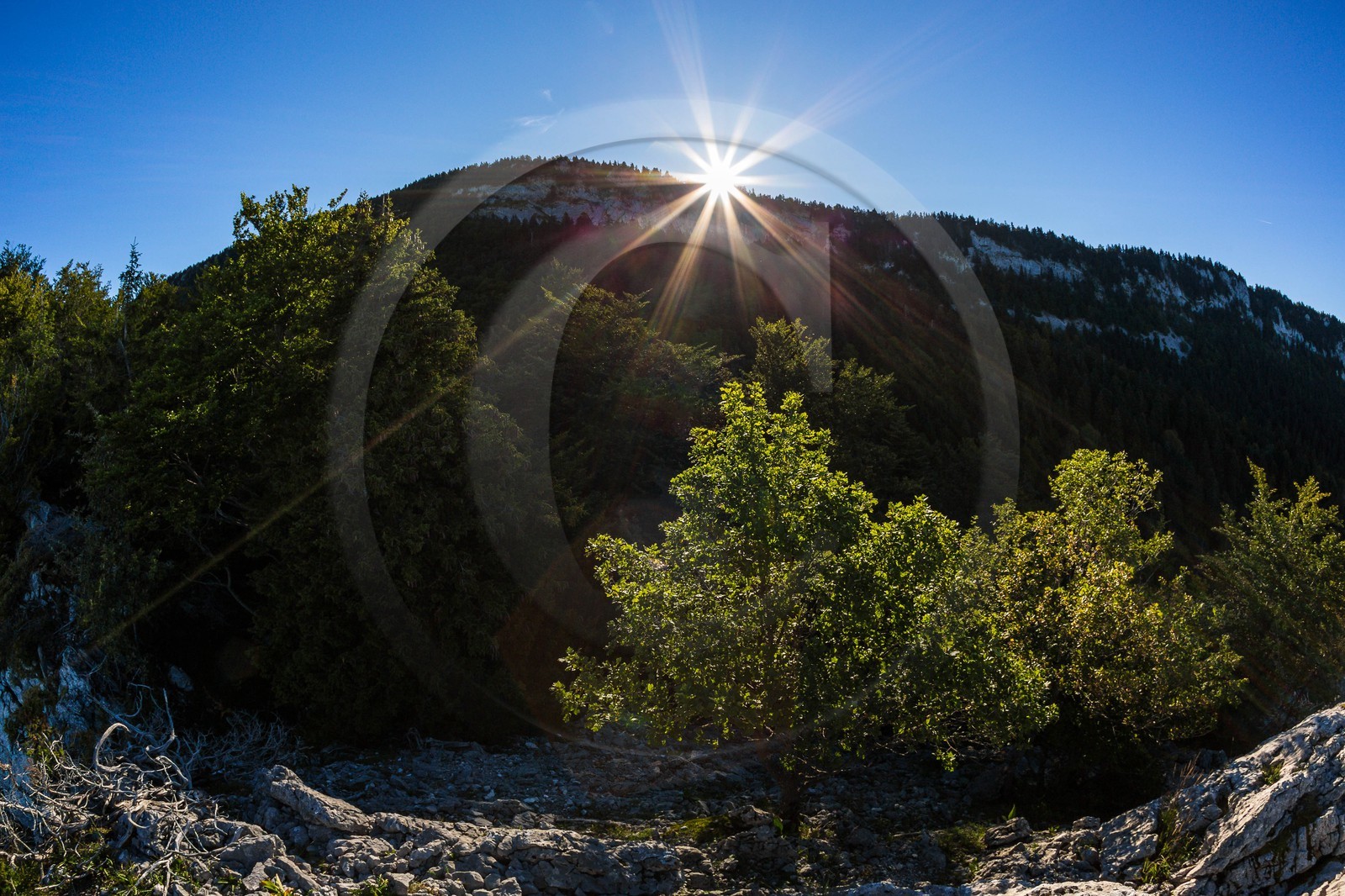 ENS de l'Isère, Les Ecouges
