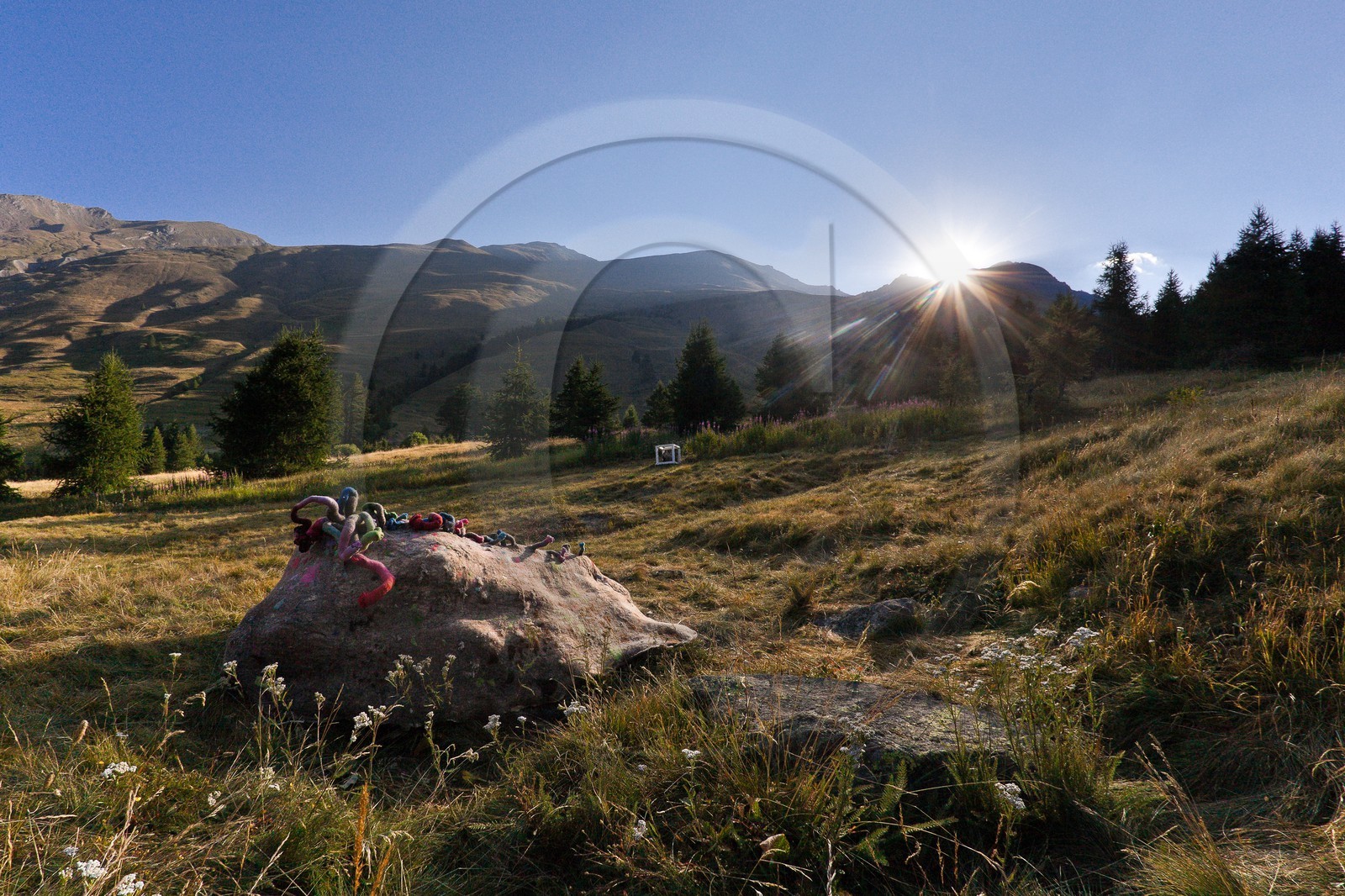 Sentiers Art et Nature Queyras et Val Varaita, Stéphanie Cailleau