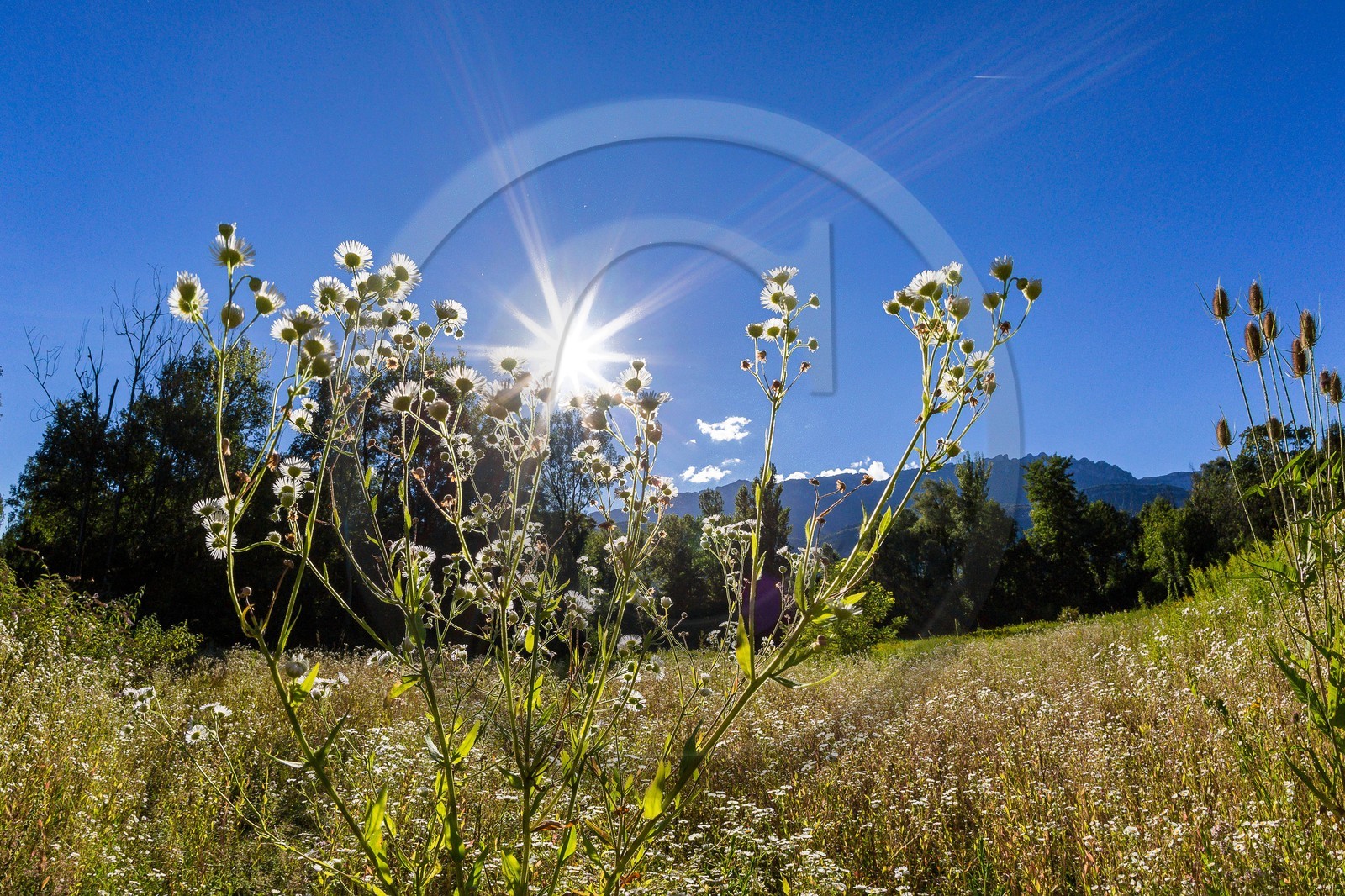 ENS de l'Isère, espace alluvial de la Rolande