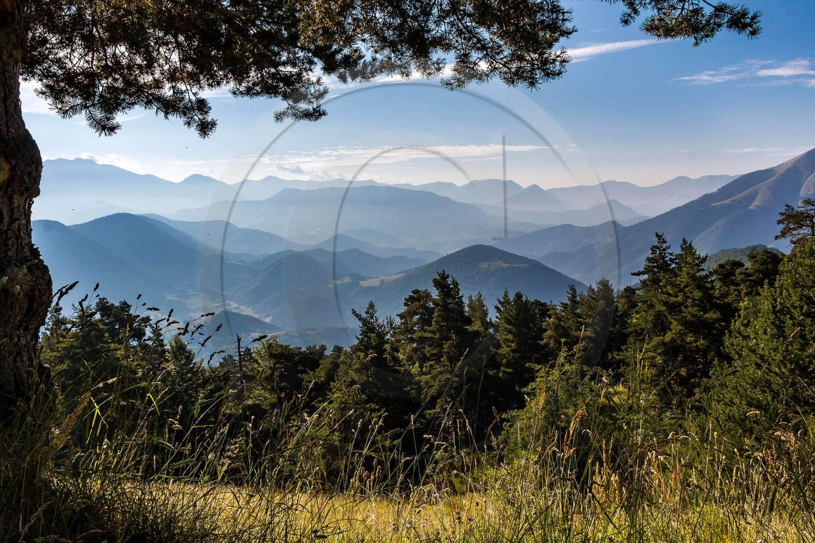 Les Monges, du col de la Pinée
