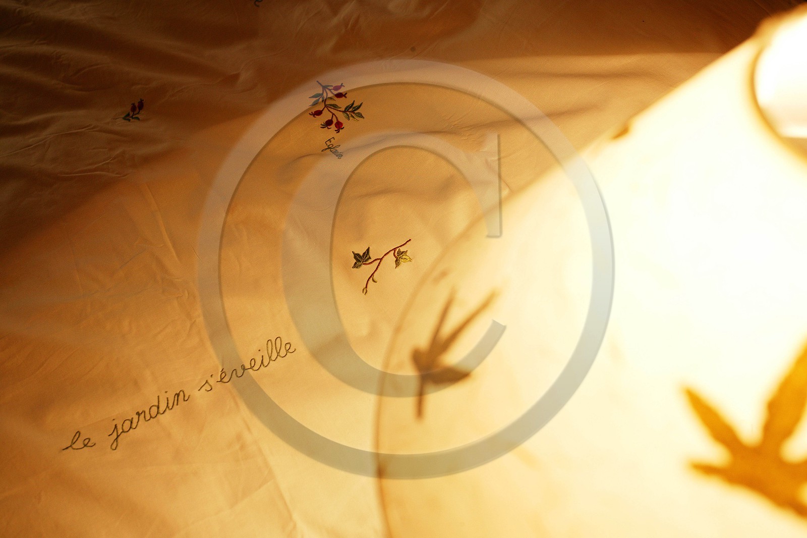 Chambres et table d'hôtes le Chalet des Alpages