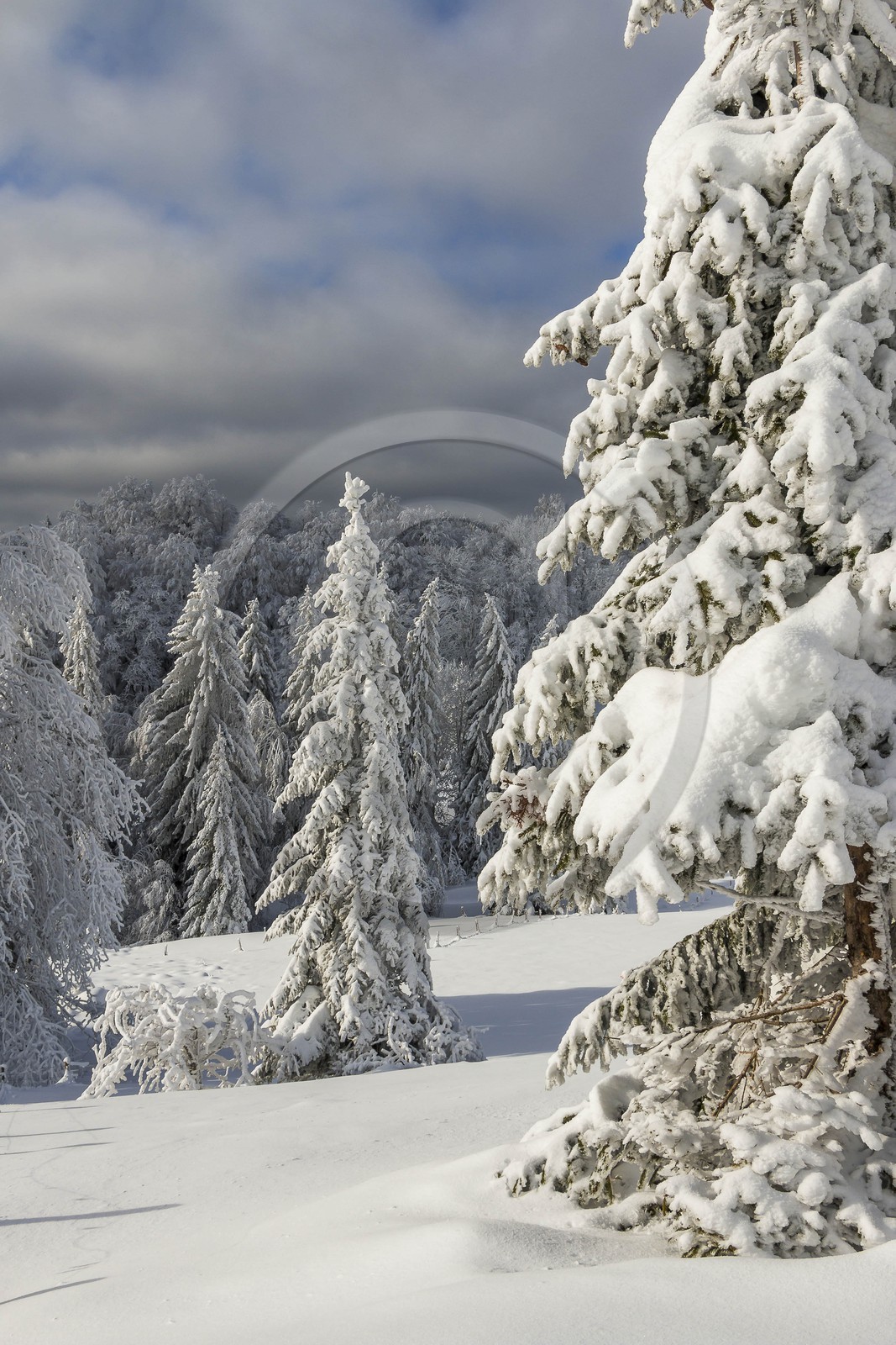 ENS de l'Isère, Les Ecouges