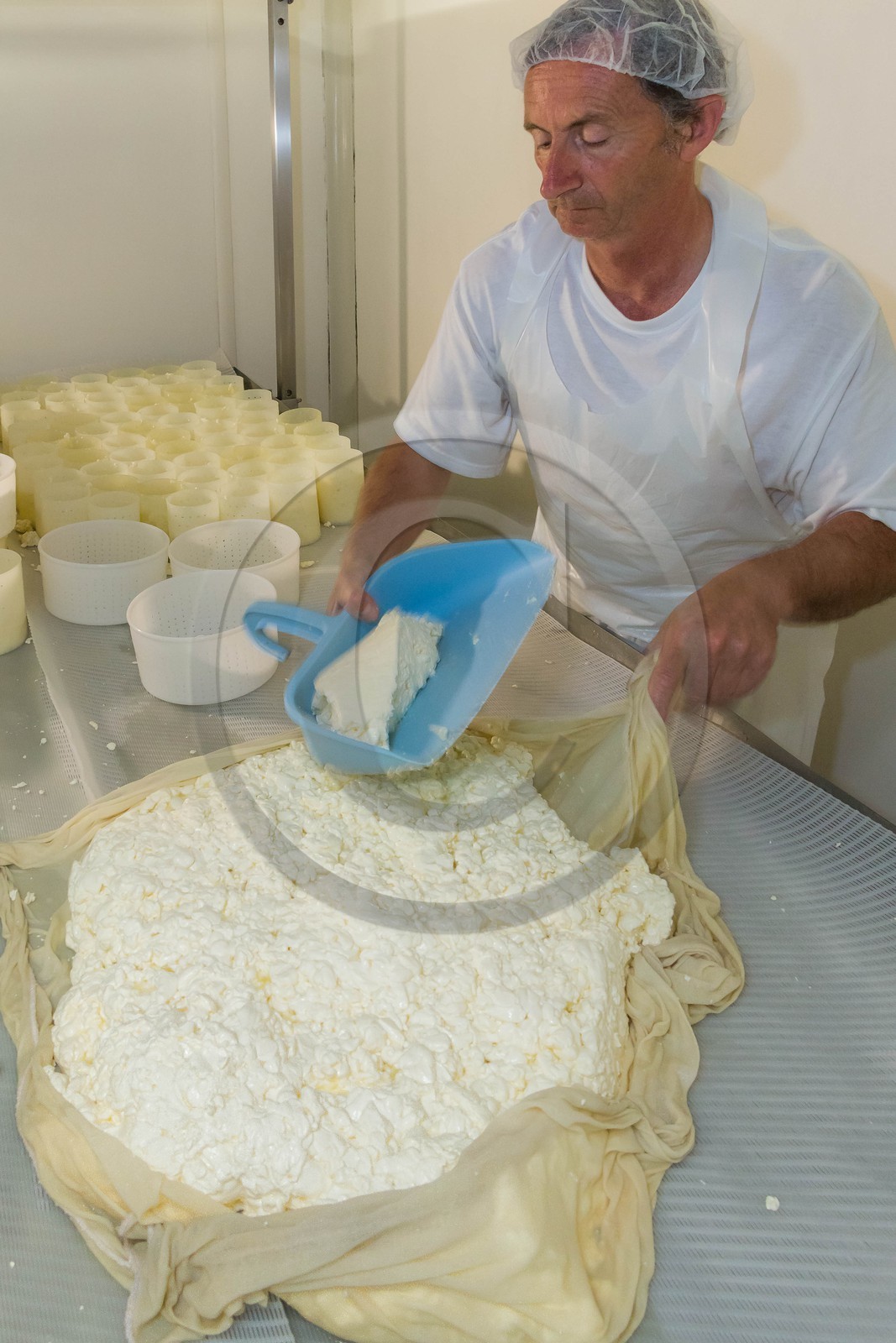 Vallée du Champsaur, fromagerie Ebrard
