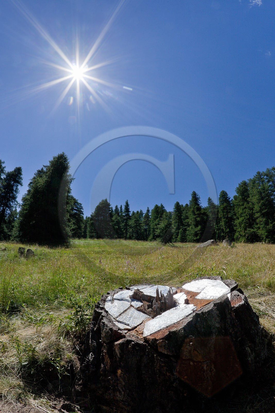 Sentiers Art et Nature Queyras et Val Varaita, Peter Gross