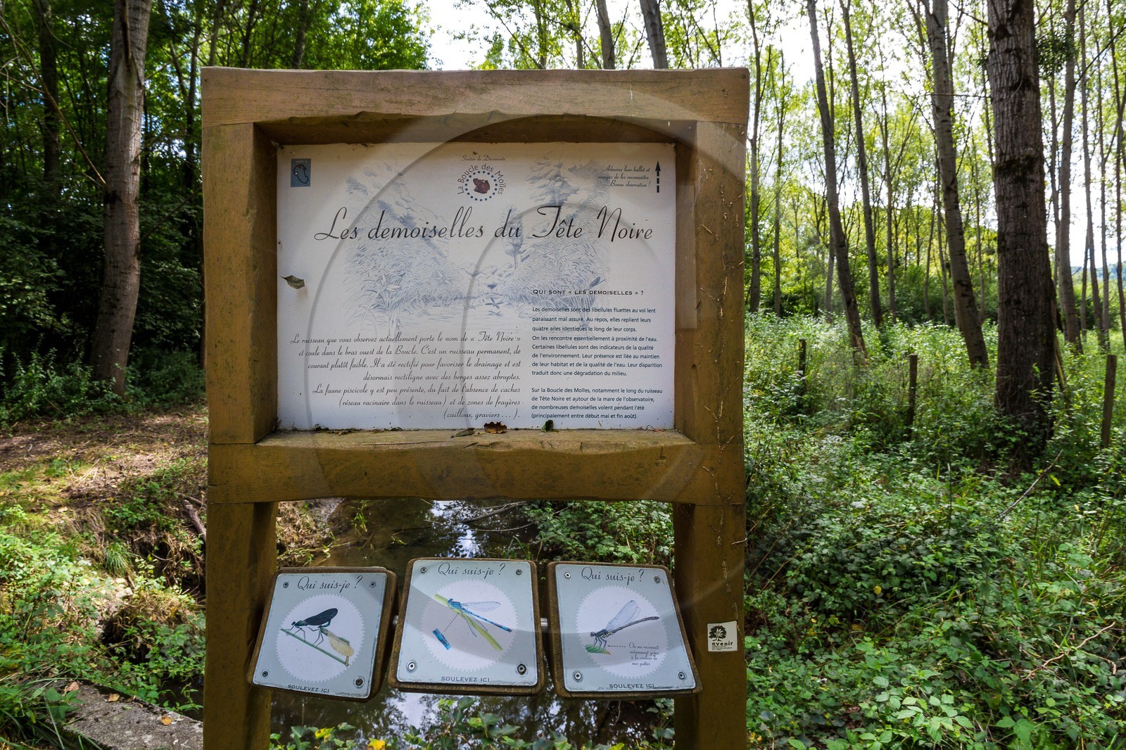 ENS de l'Isère, Boucle des Moïles