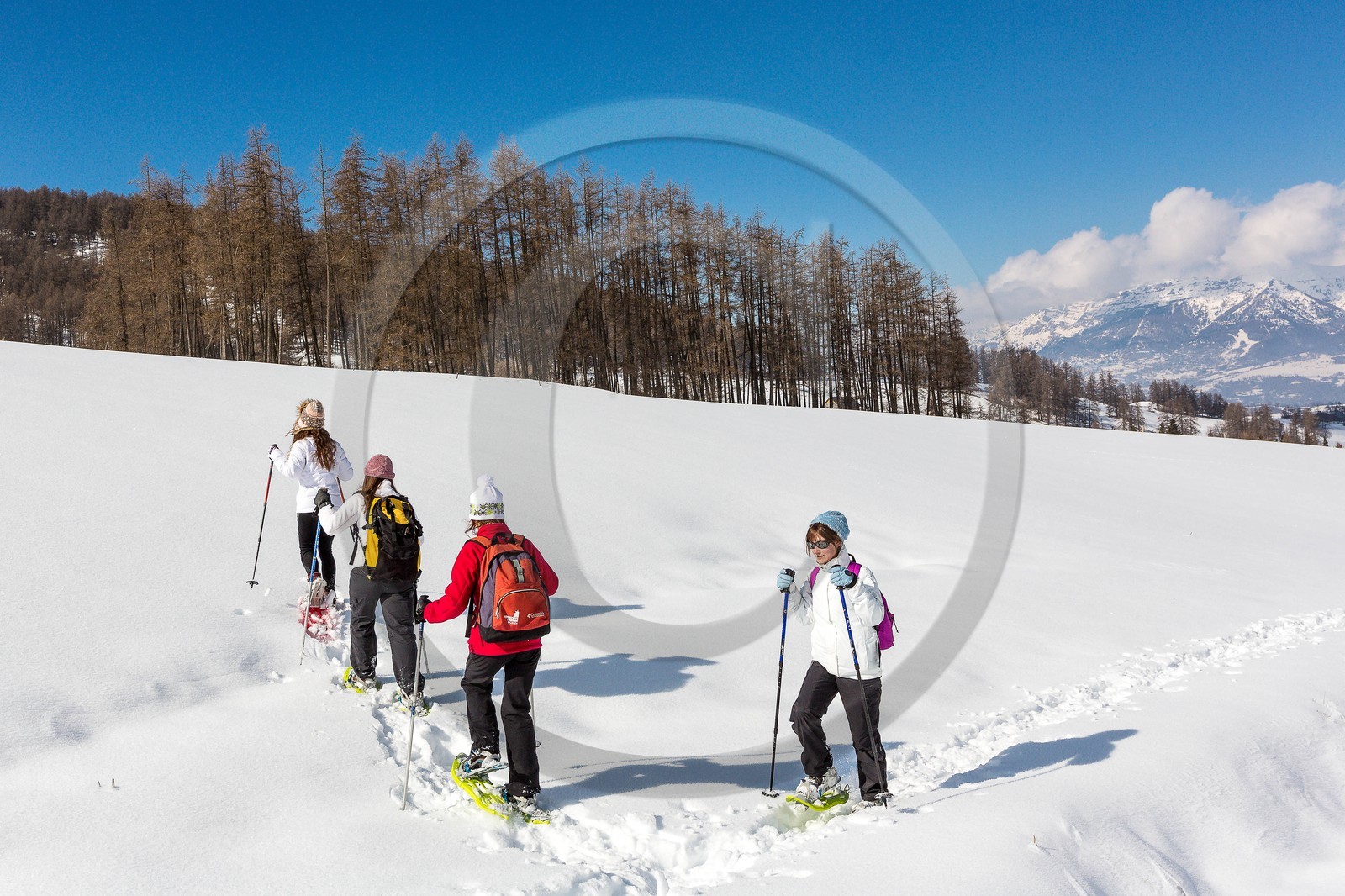 Ancelle, col de Moissière, randonnée à raquettes à neige