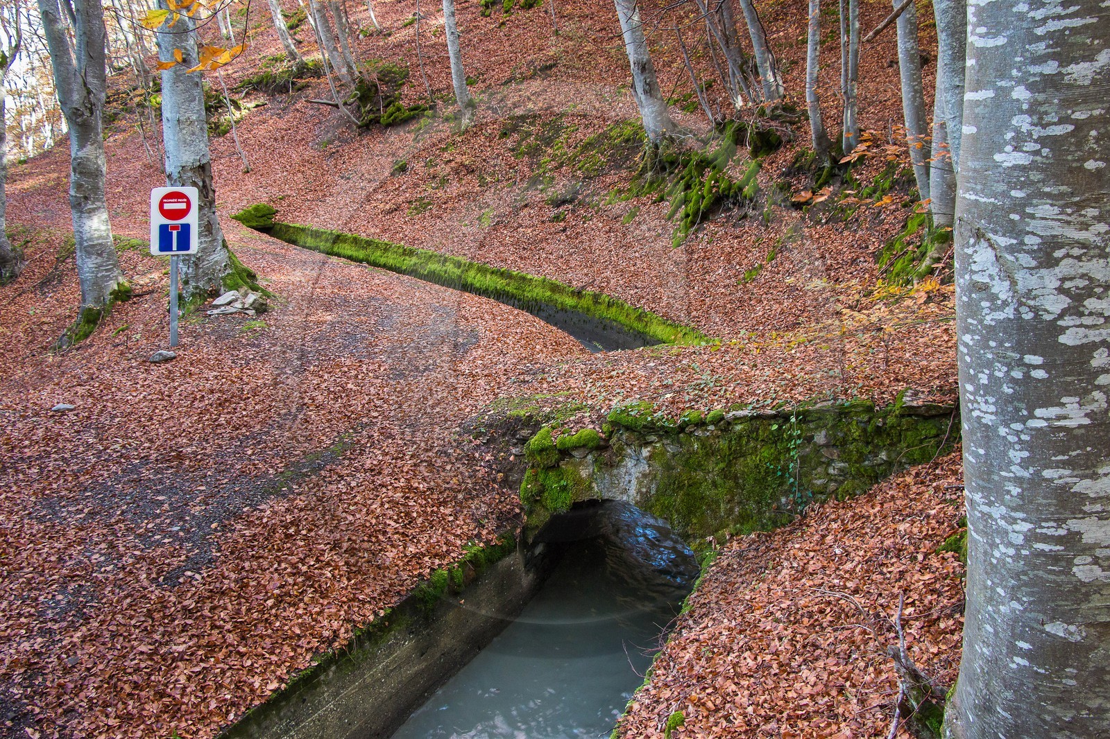 Canal du Beaumont au dessus du hameau les Angelas